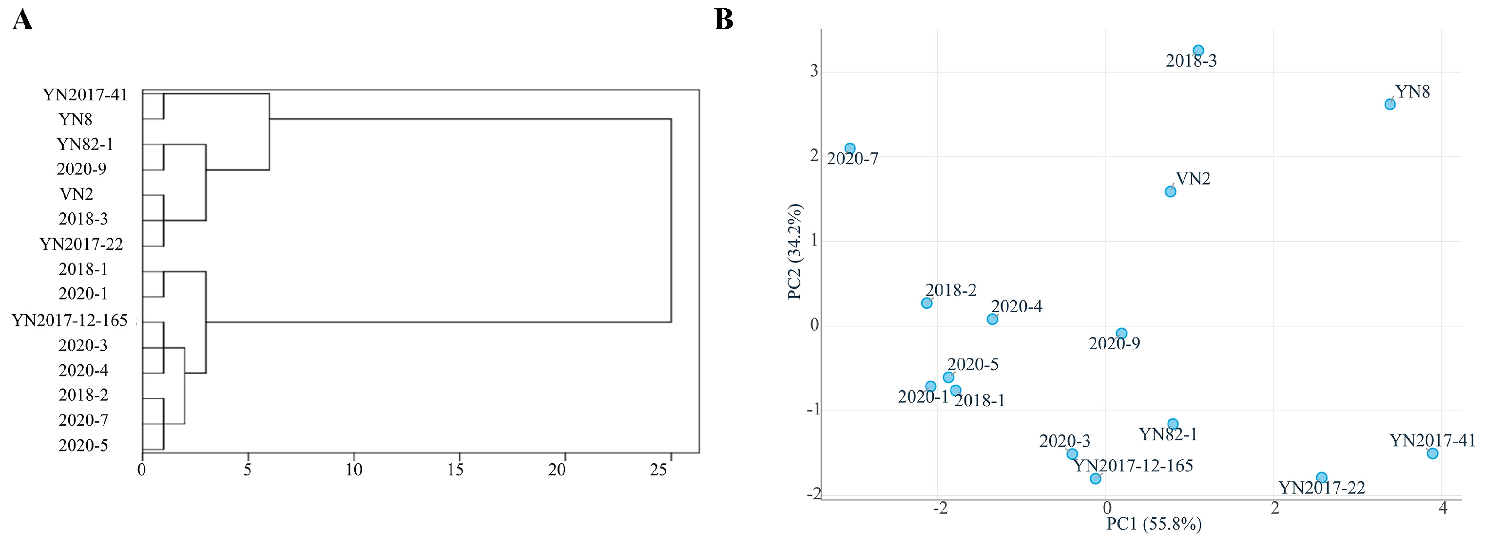 Plants 14 01750 g003