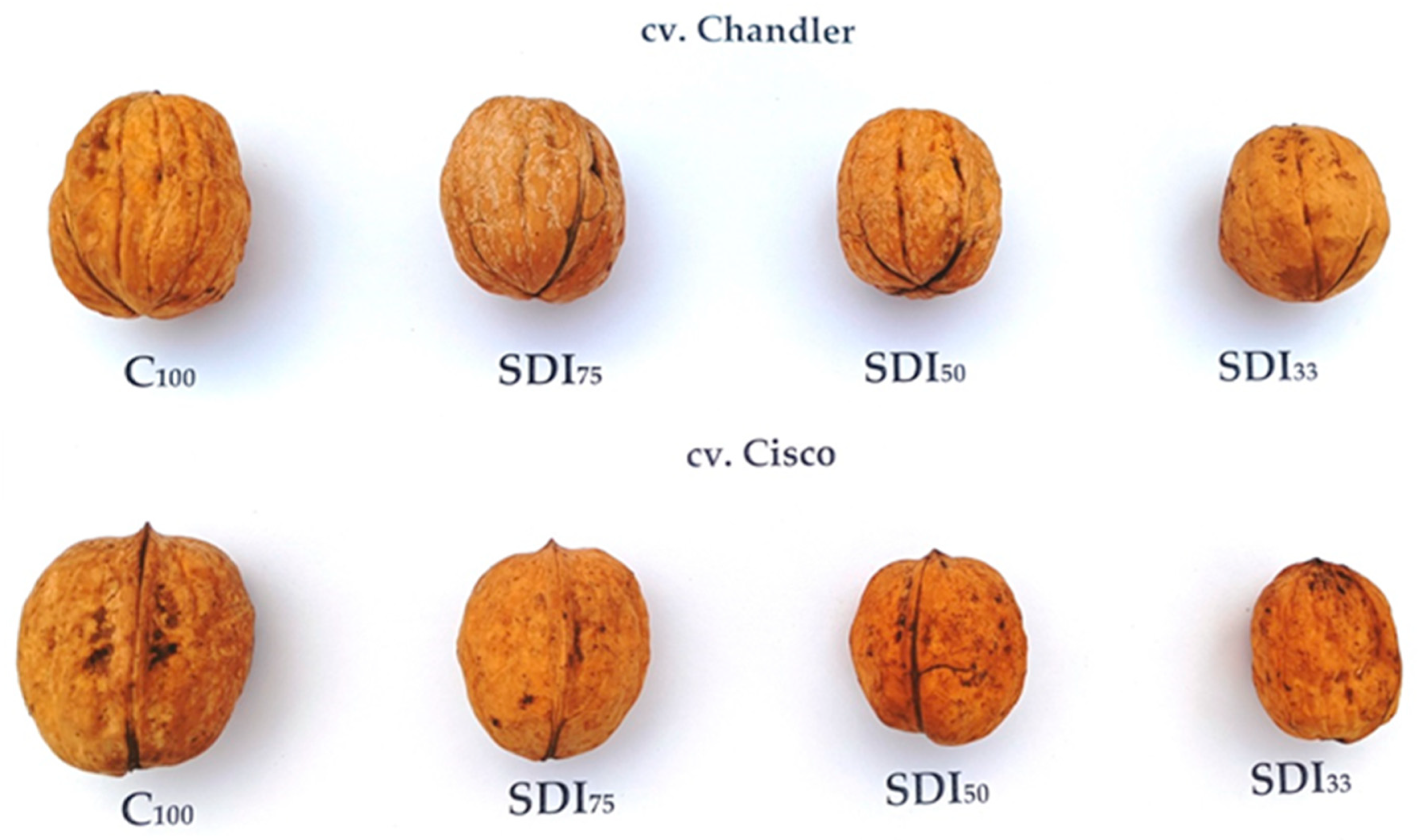 Plants 14 01777 g002