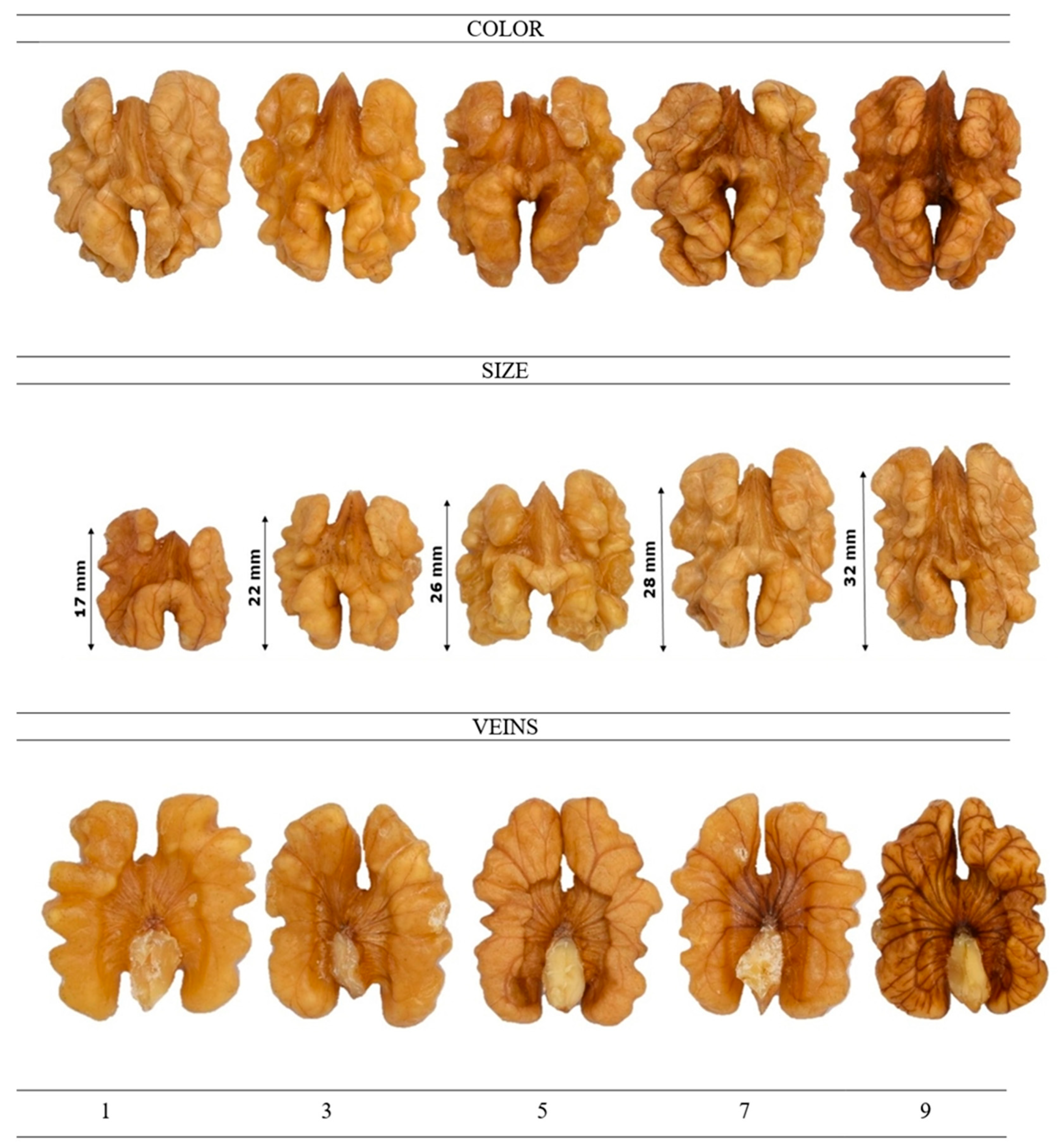 Plants 14 01777 g003