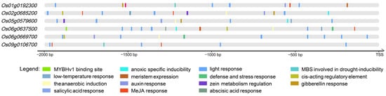 Plants 14 01784 g003