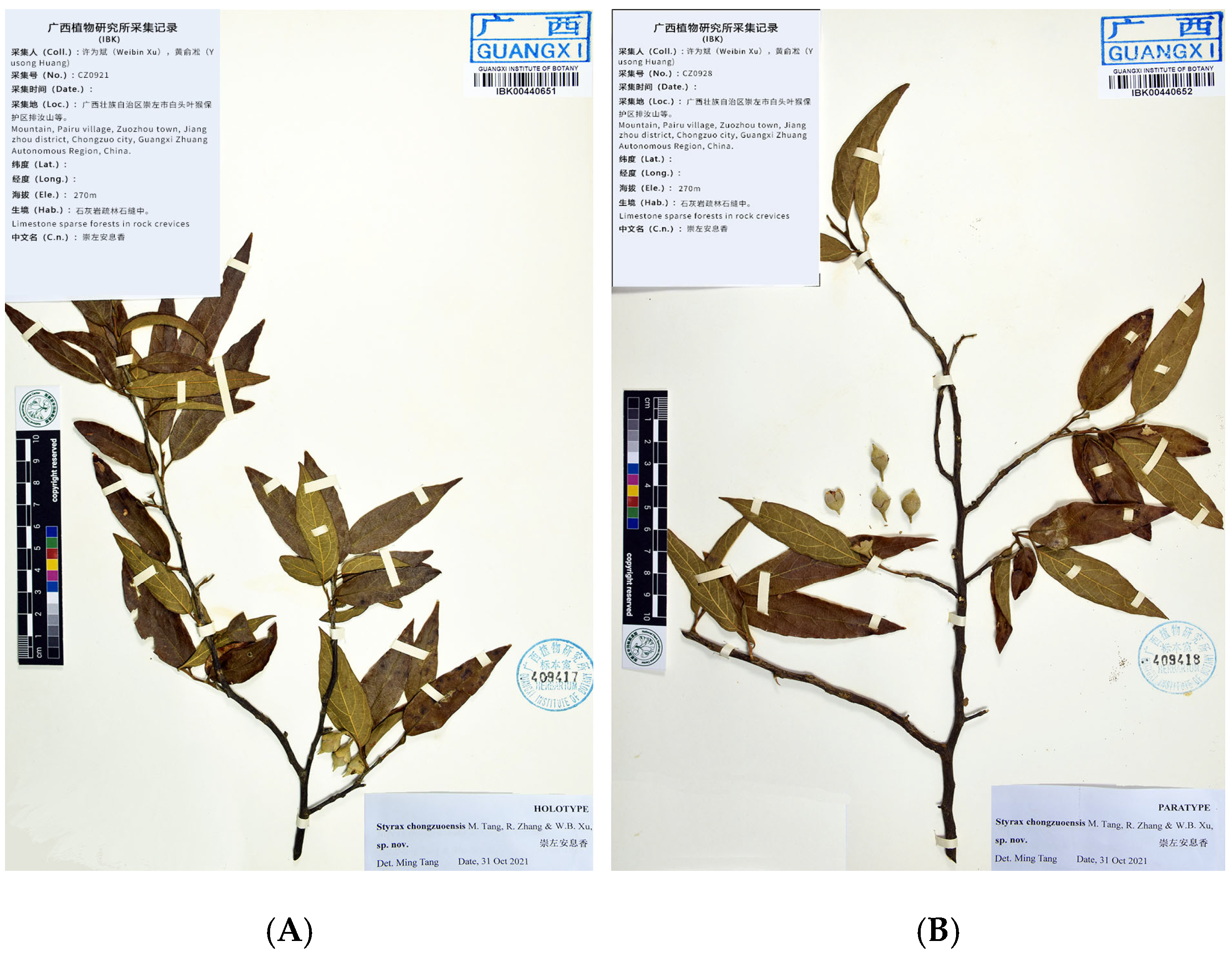 Plants 14 01789 g002