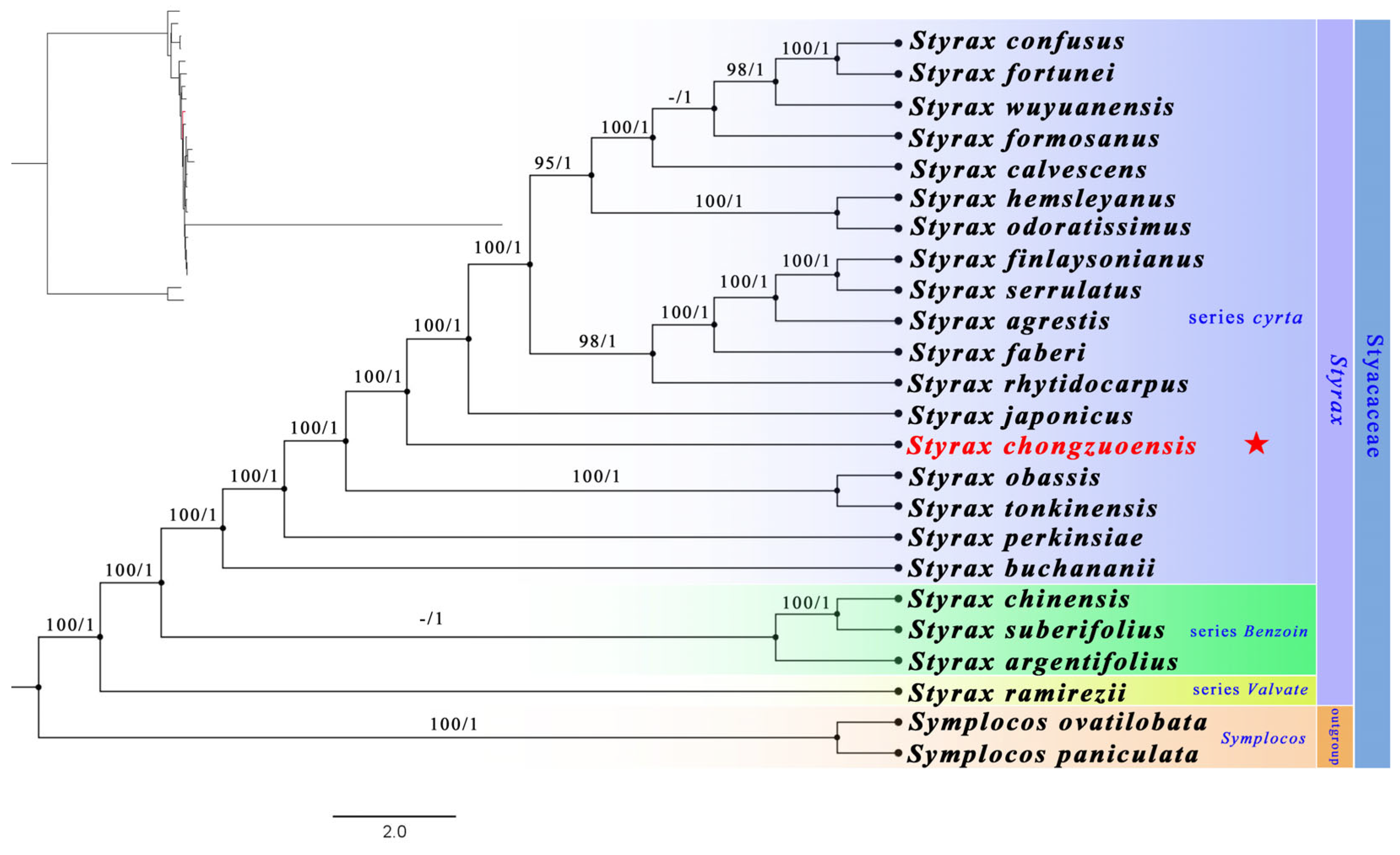 Plants 14 01789 g006