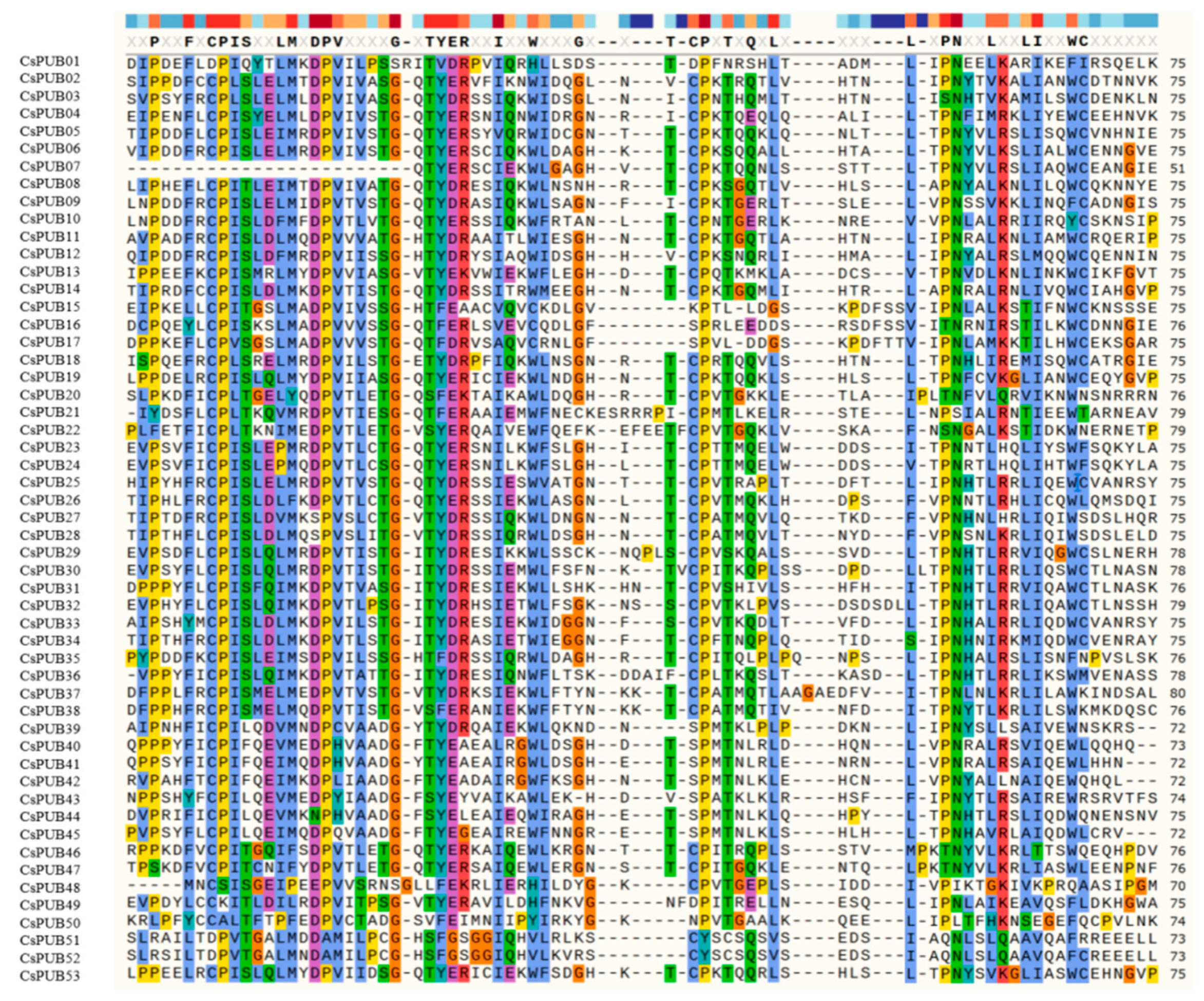 Plants 14 01801 g001