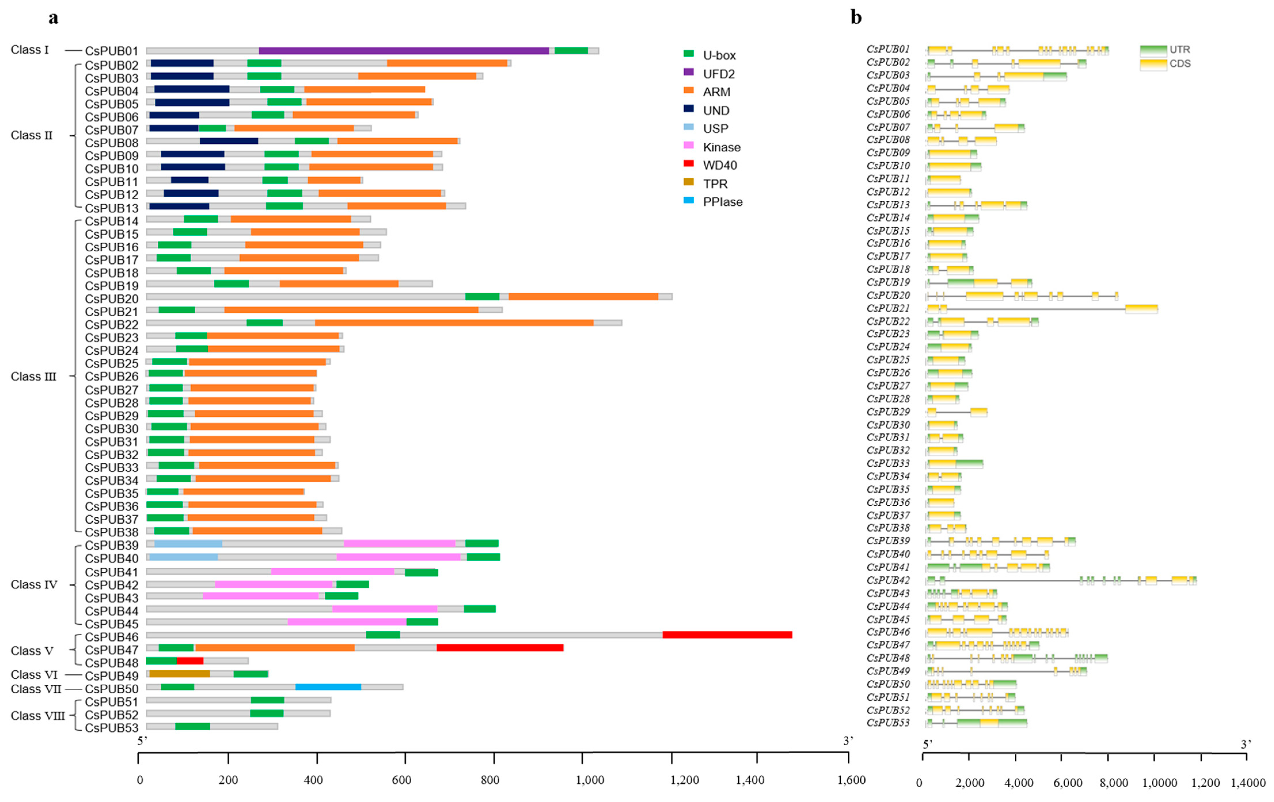 Plants 14 01801 g002