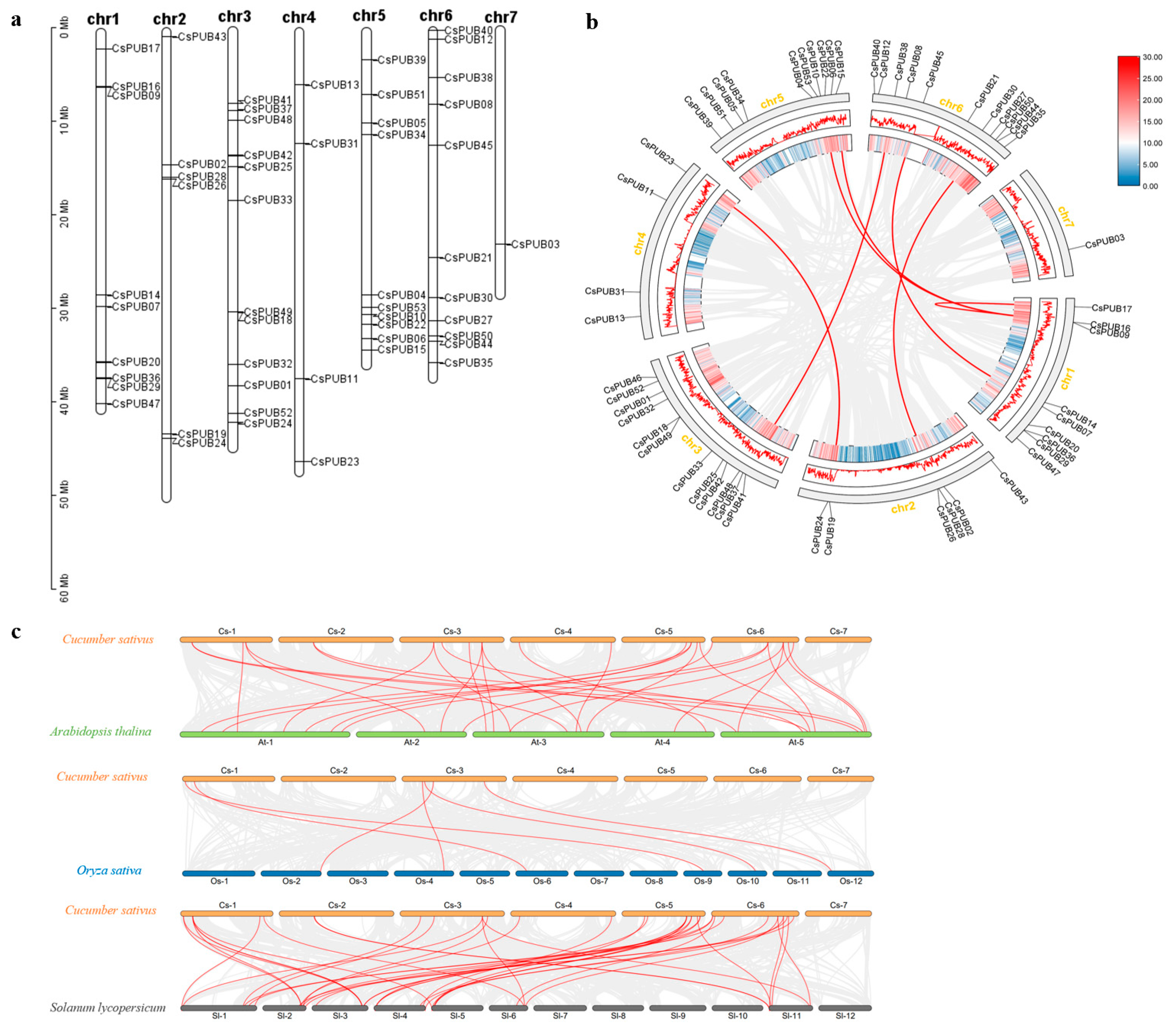 Plants 14 01801 g004