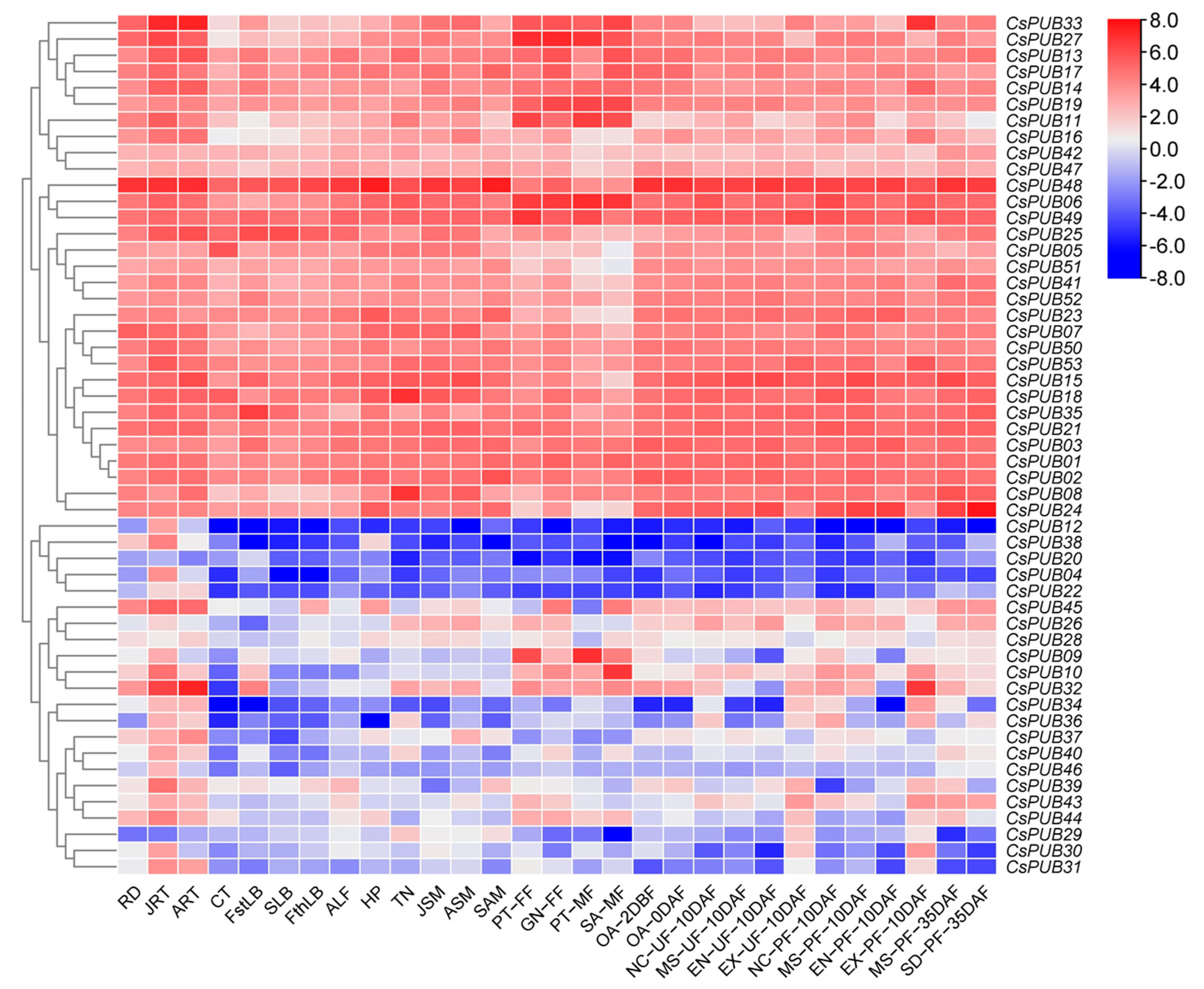 Plants 14 01801 g006