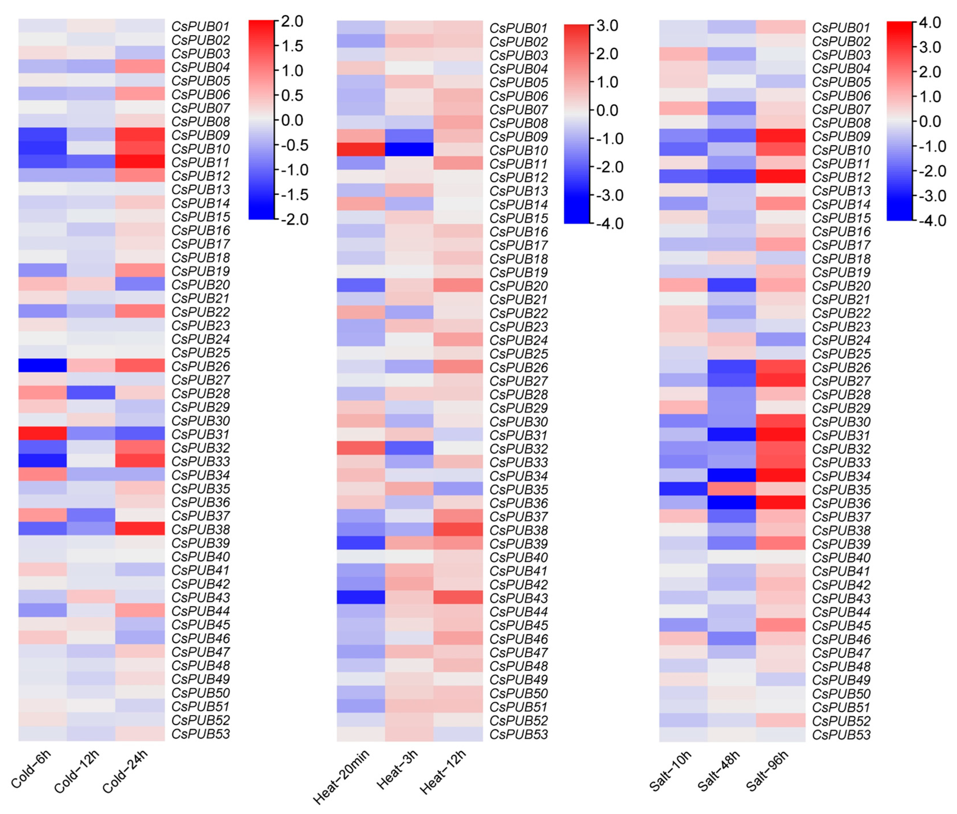 Plants 14 01801 g007