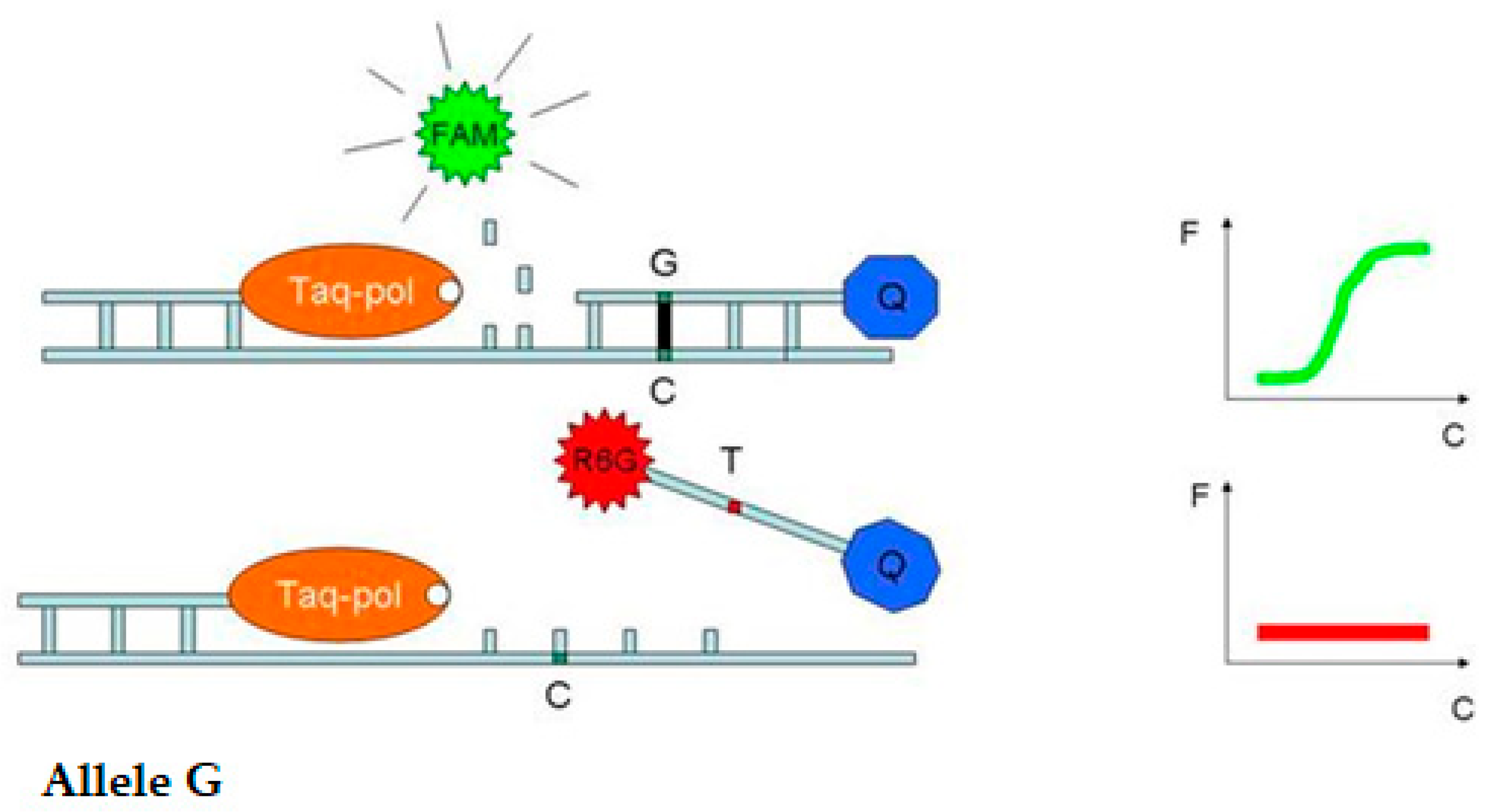 Plants 14 01815 g003