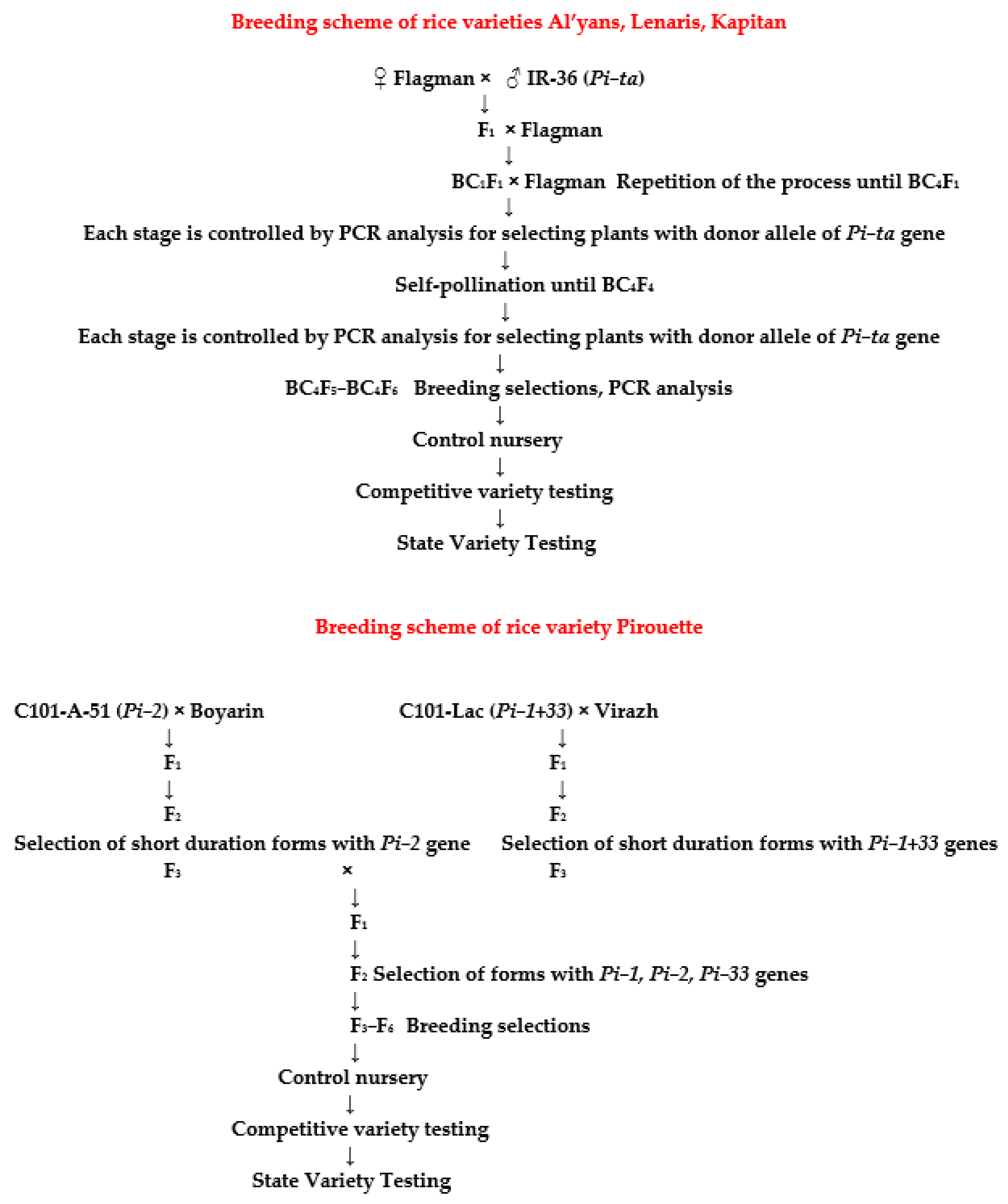 Plants 14 01815 g010