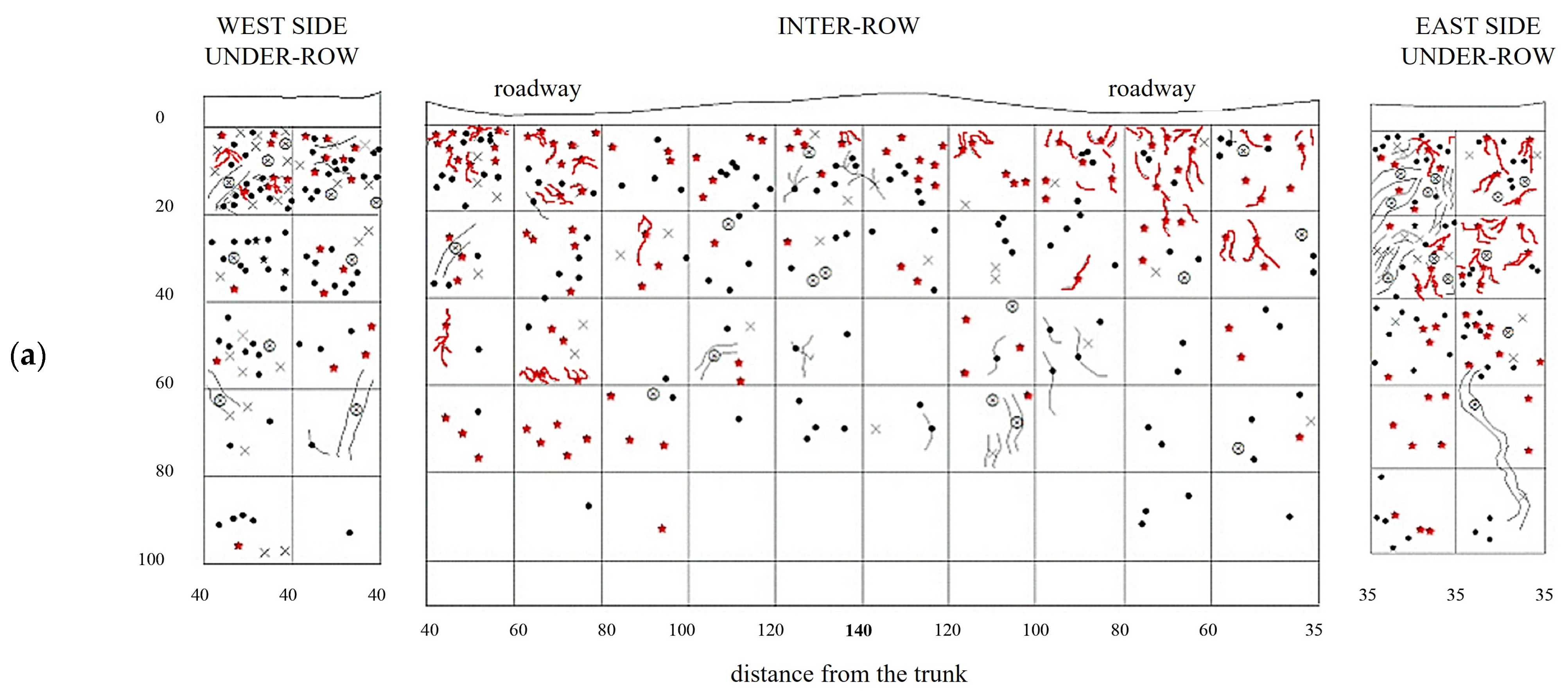 Plants 14 01823 g006a
