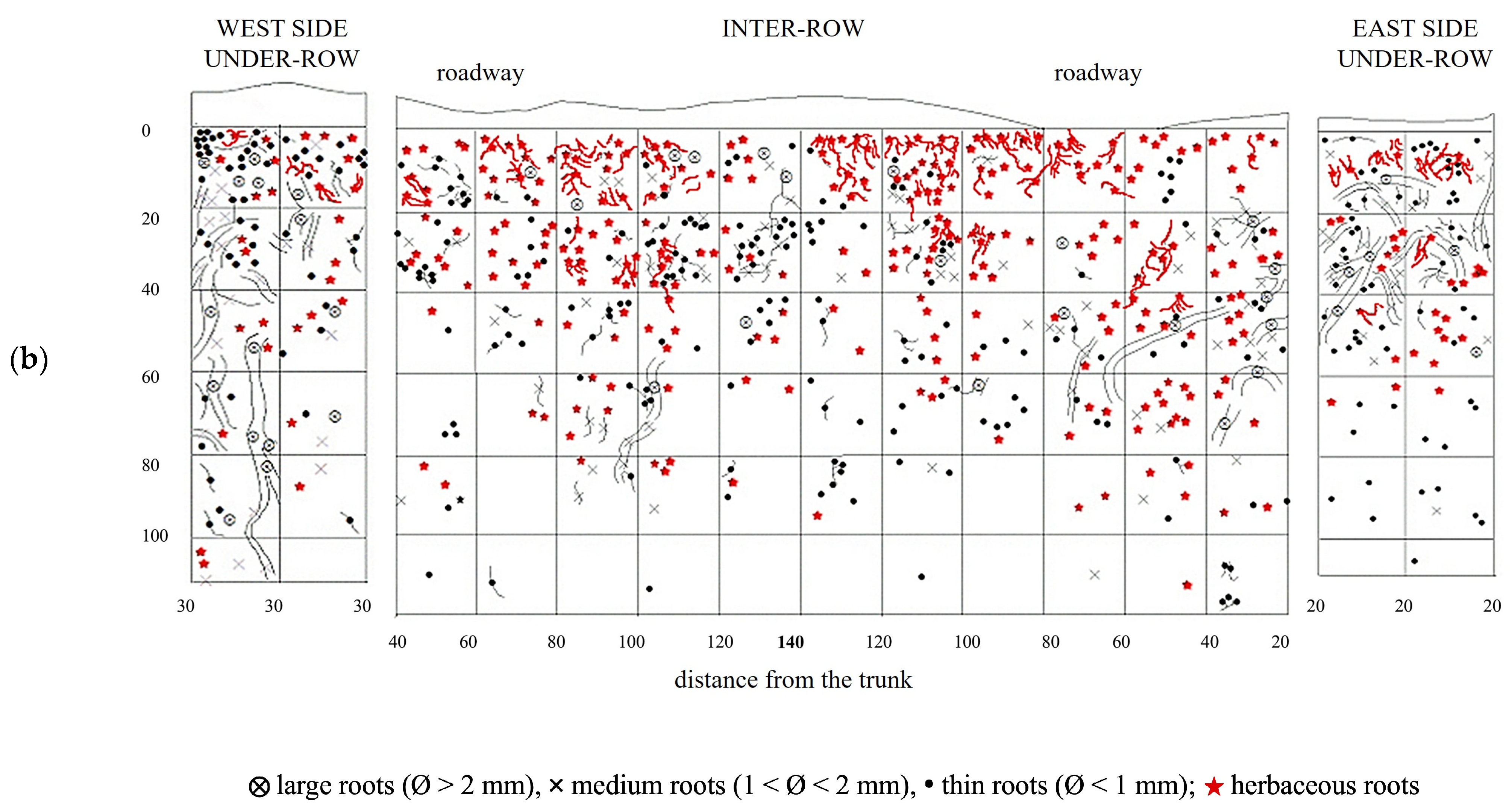 Plants 14 01823 g006b