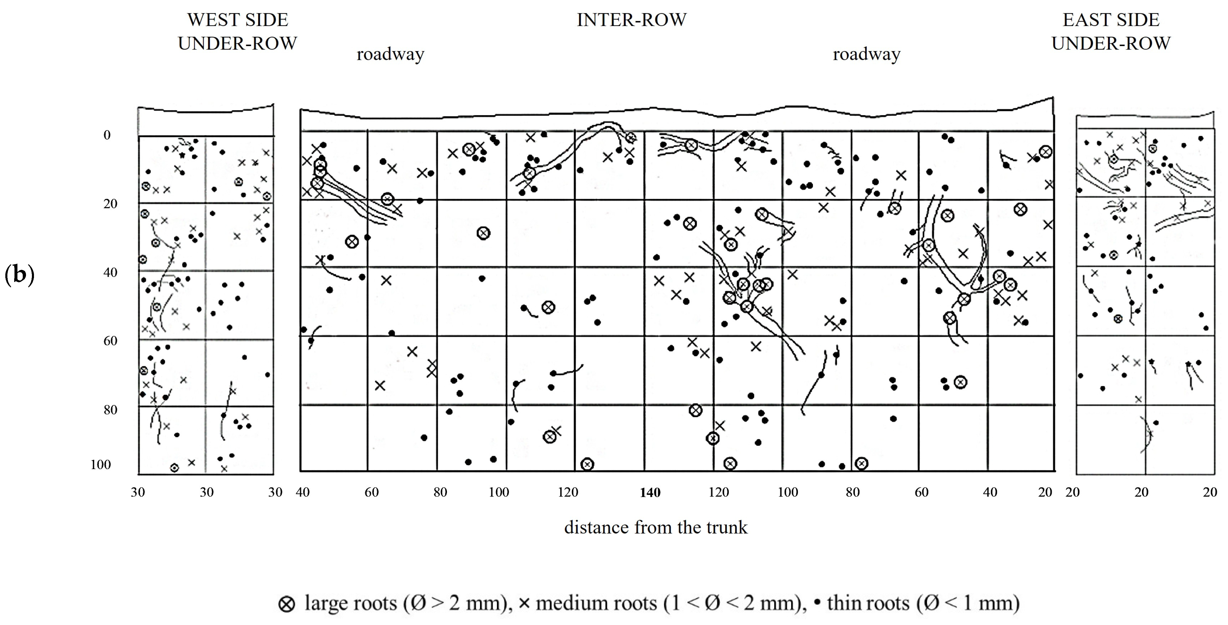 Plants 14 01823 g007b