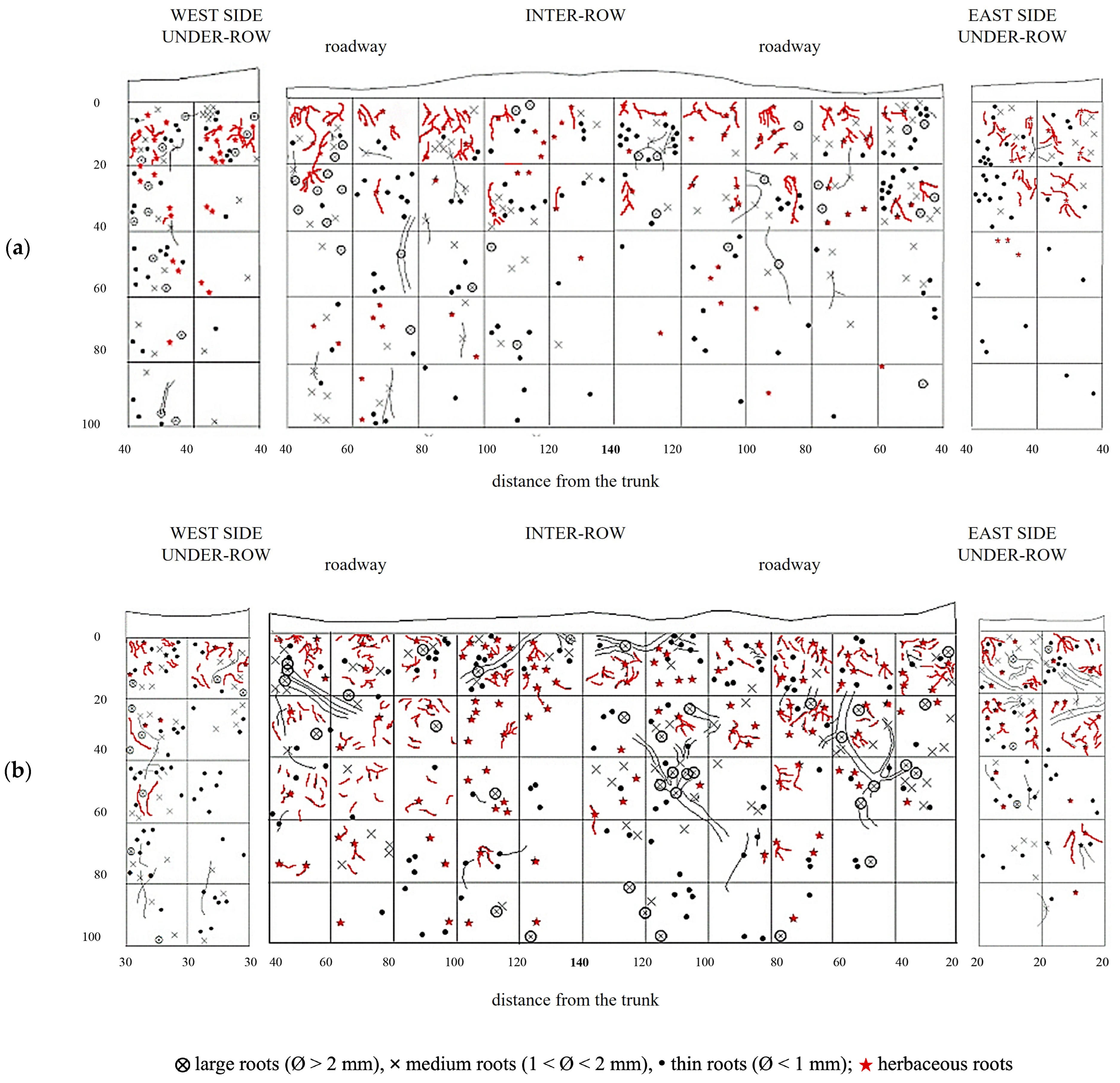 Plants 14 01823 g008