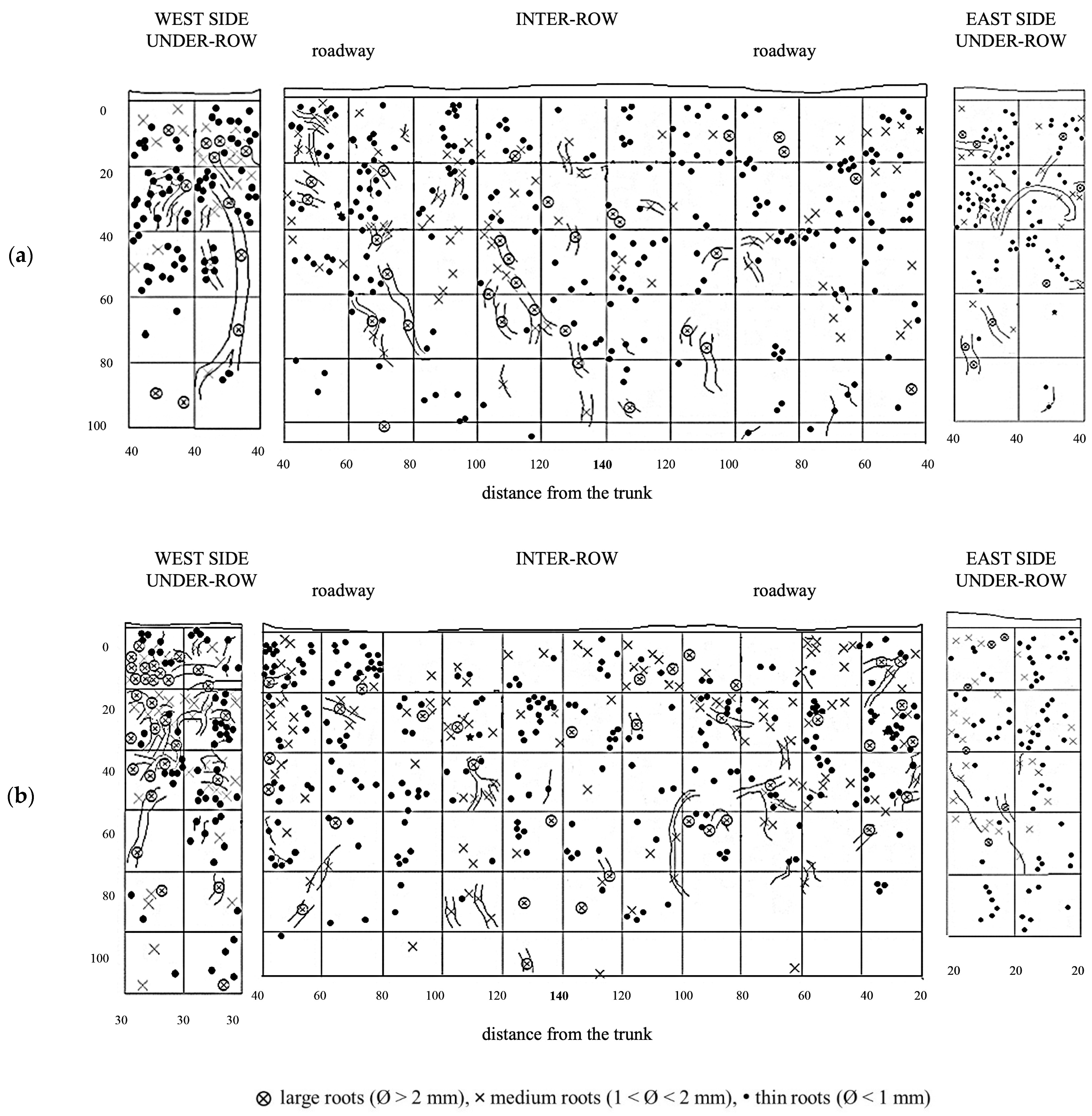 Plants 14 01823 g009