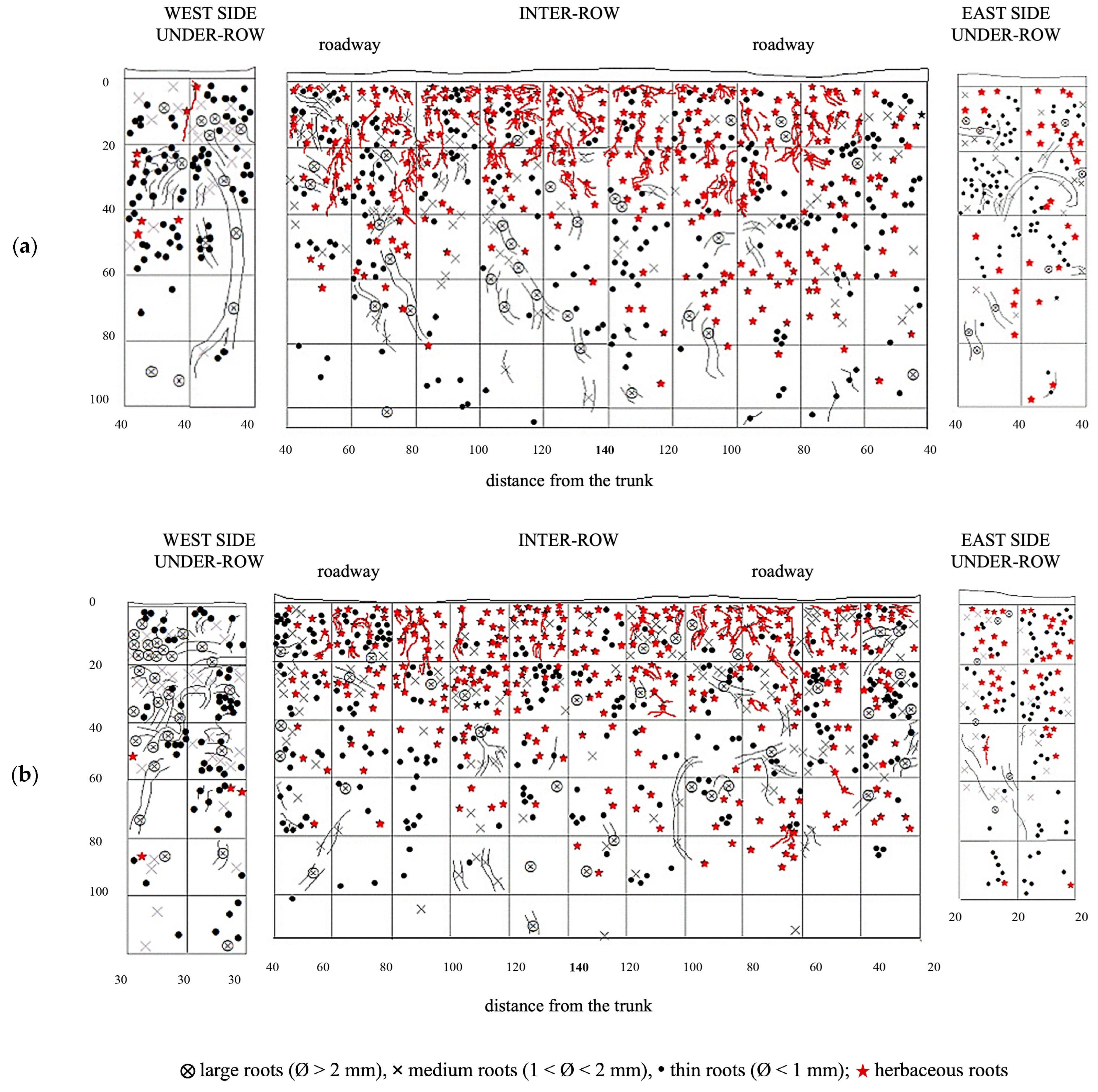 Plants 14 01823 g010