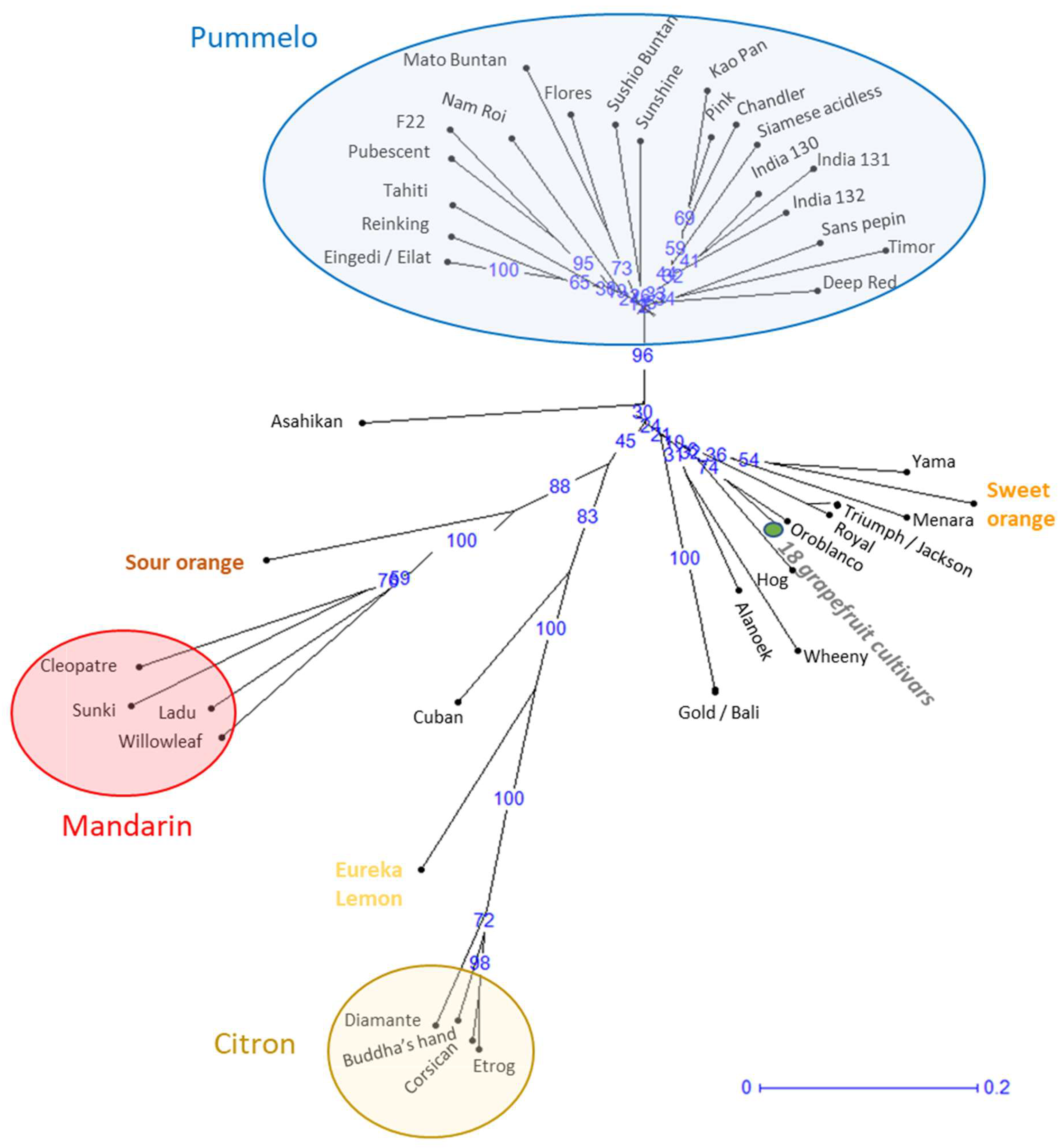 Plants 14 01824 g001