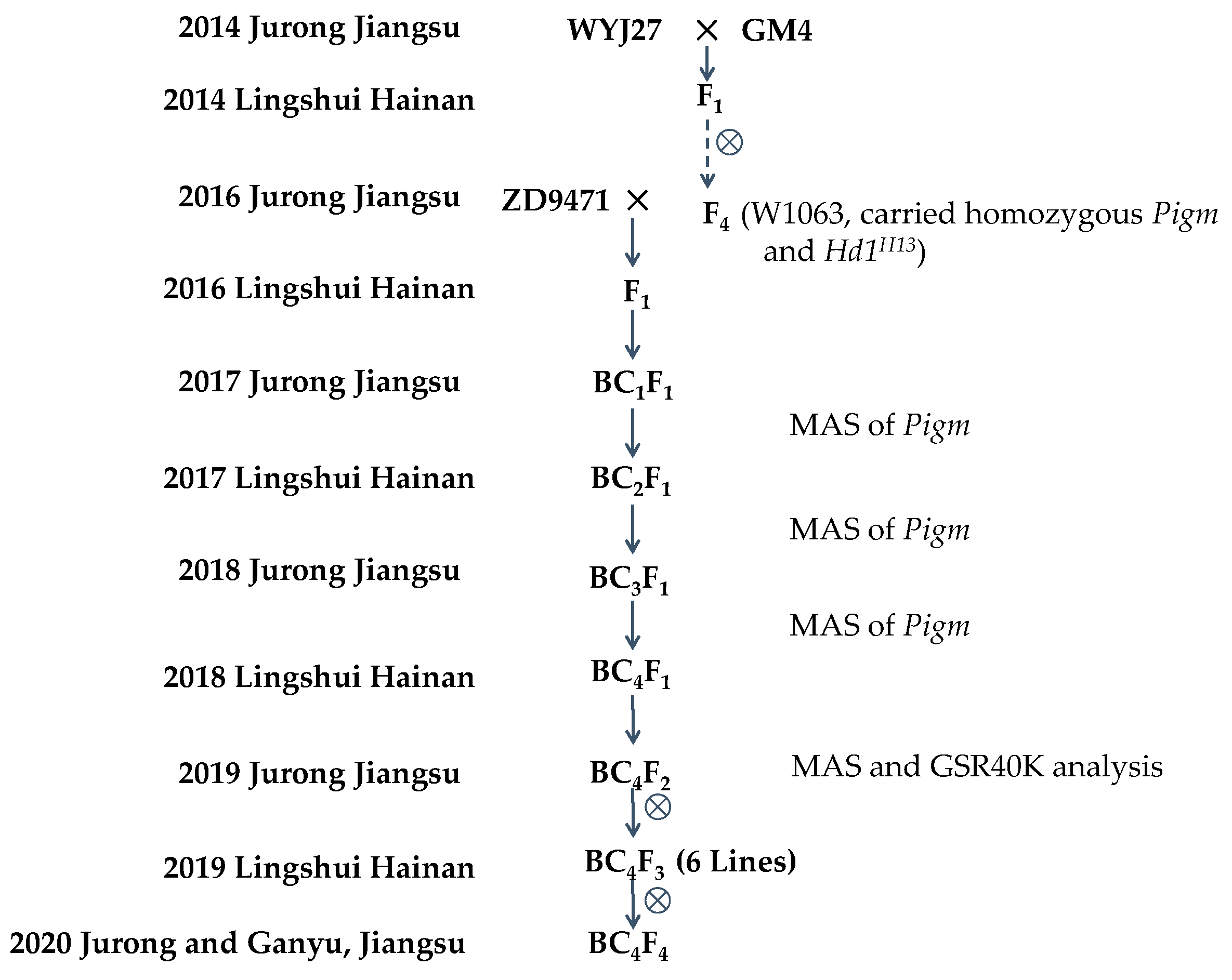 Plants 14 01836 g001