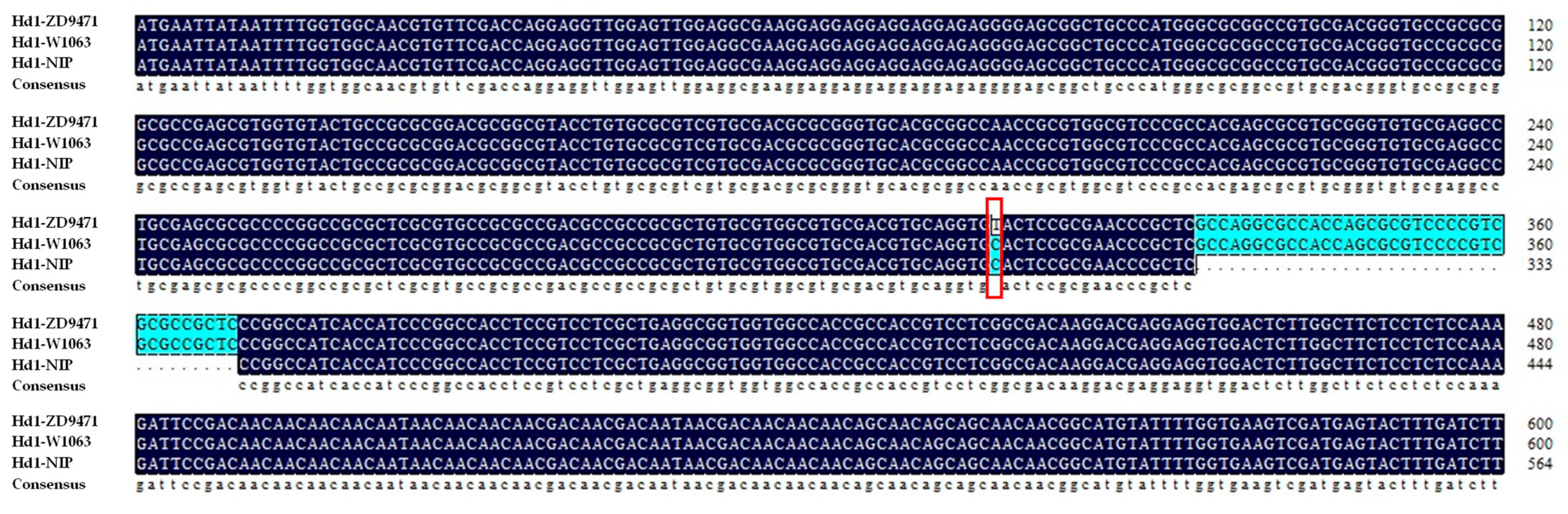 Plants 14 01836 g004