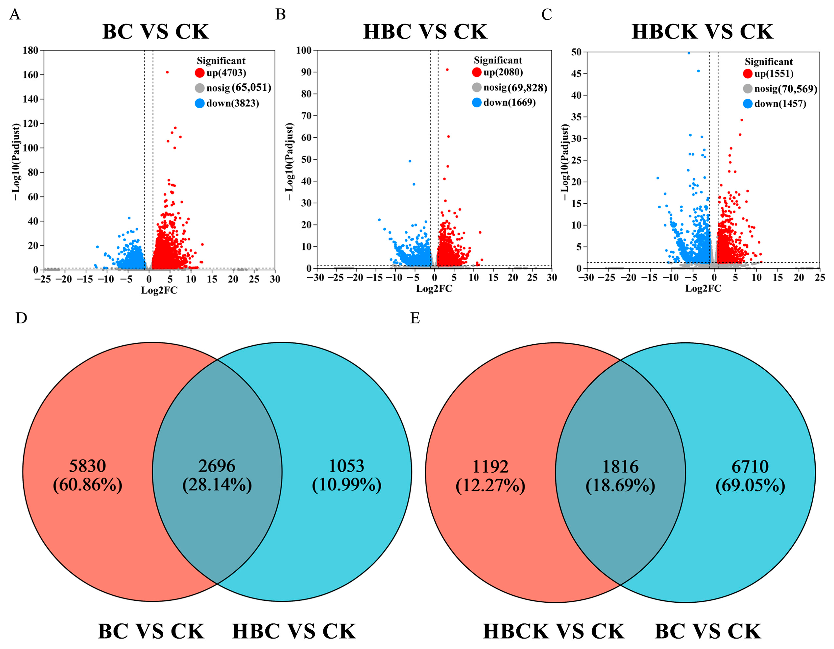 Plants 14 01849 g004