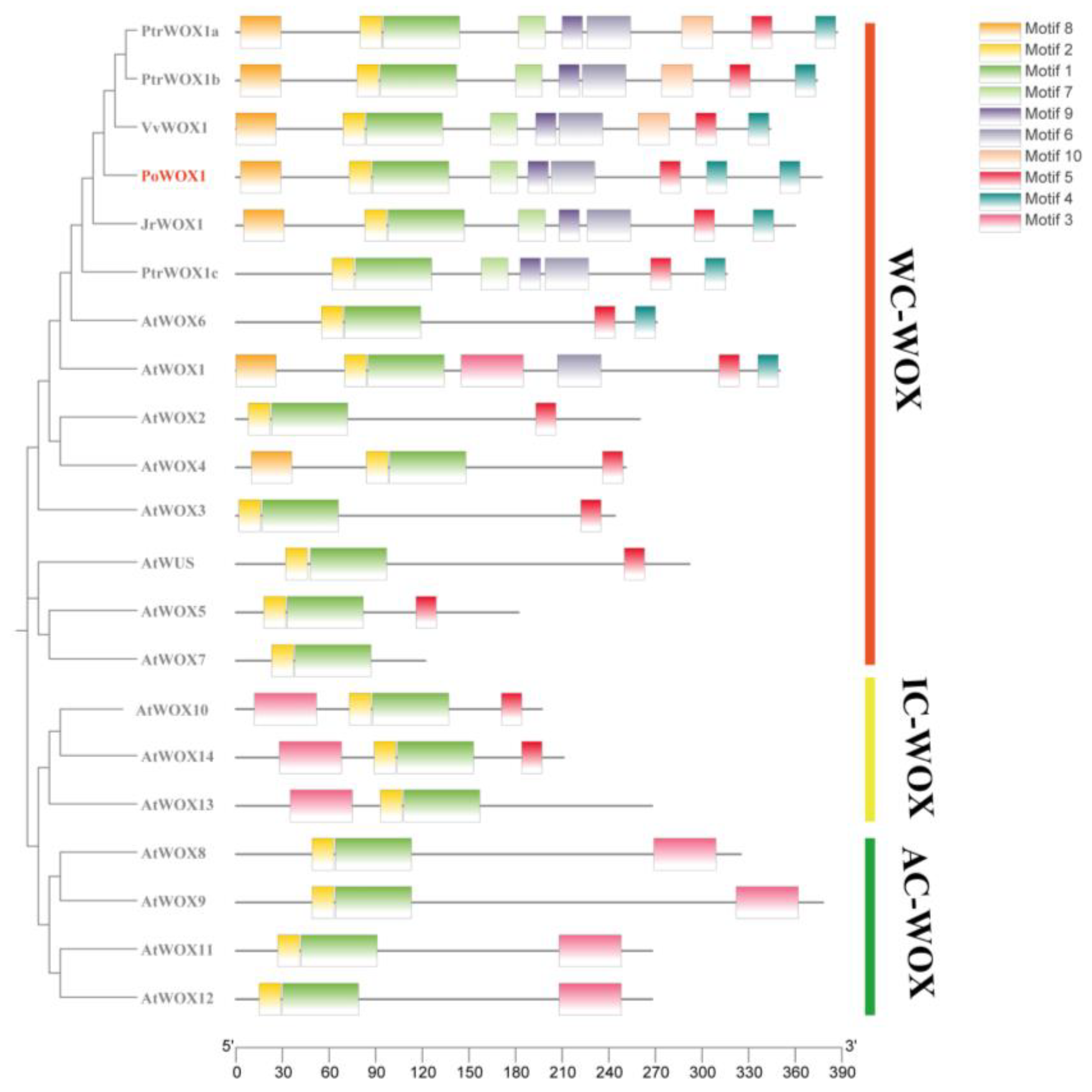 Plants 14 01857 g003