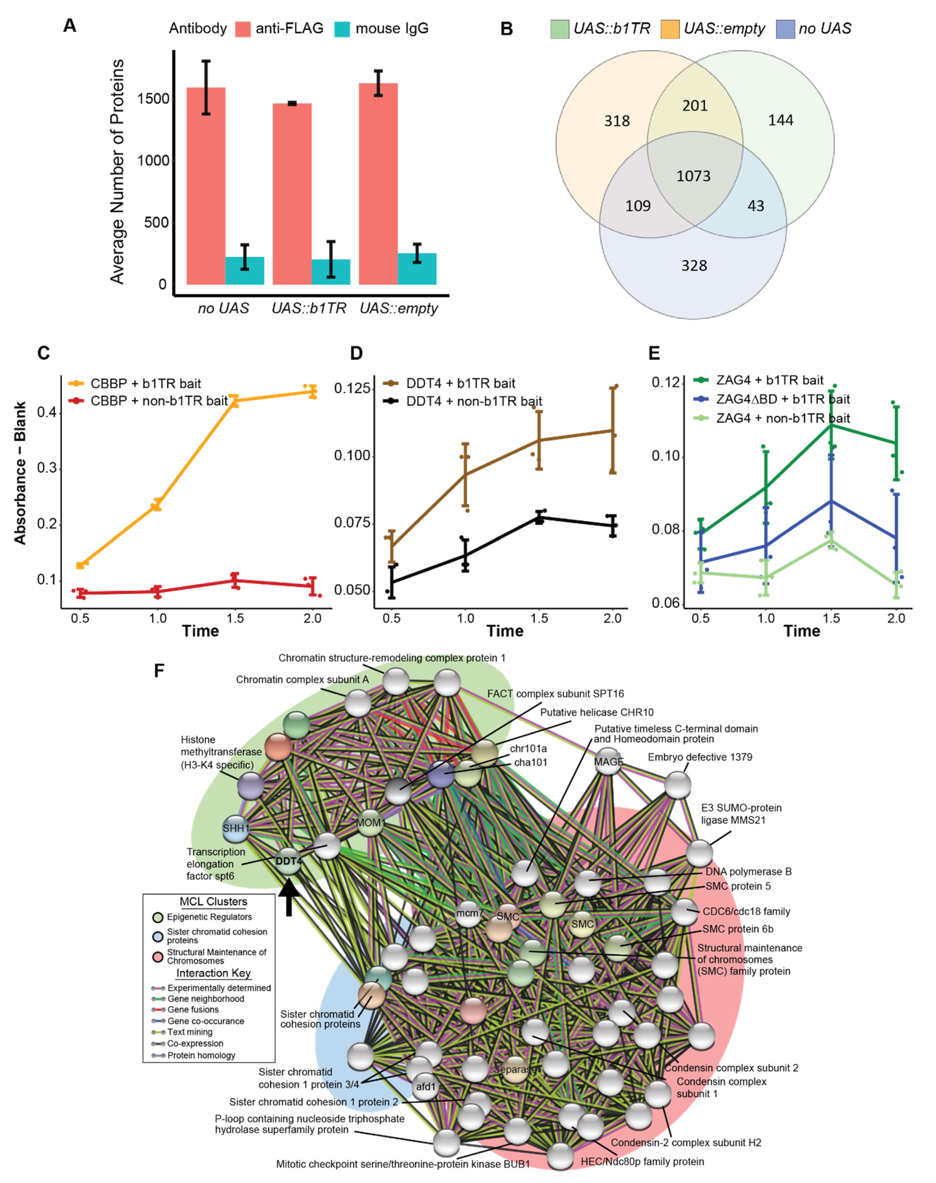 Plants 14 01863 g002 Plants 14 01863 g002