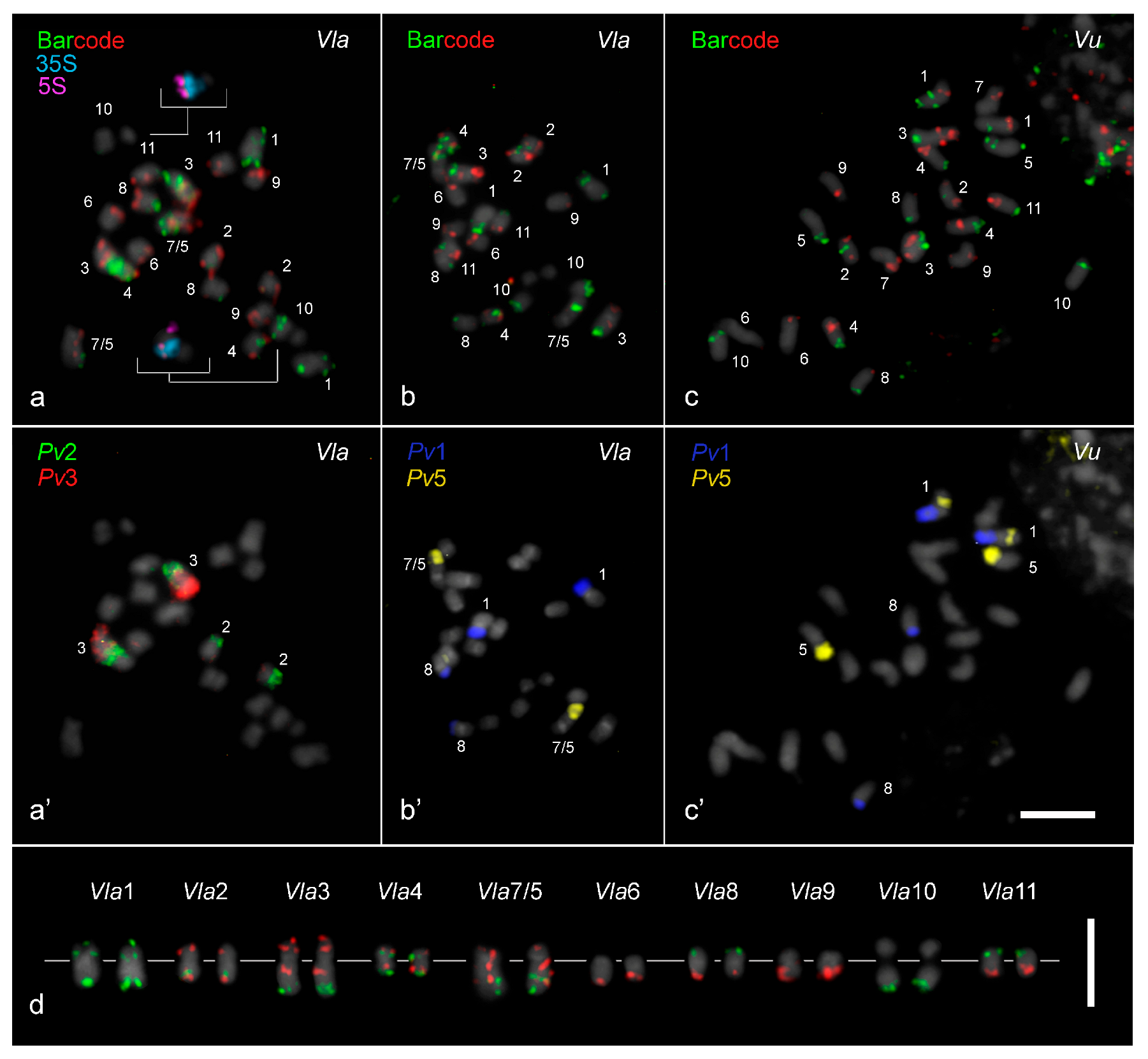 Plants 14 01872 g001