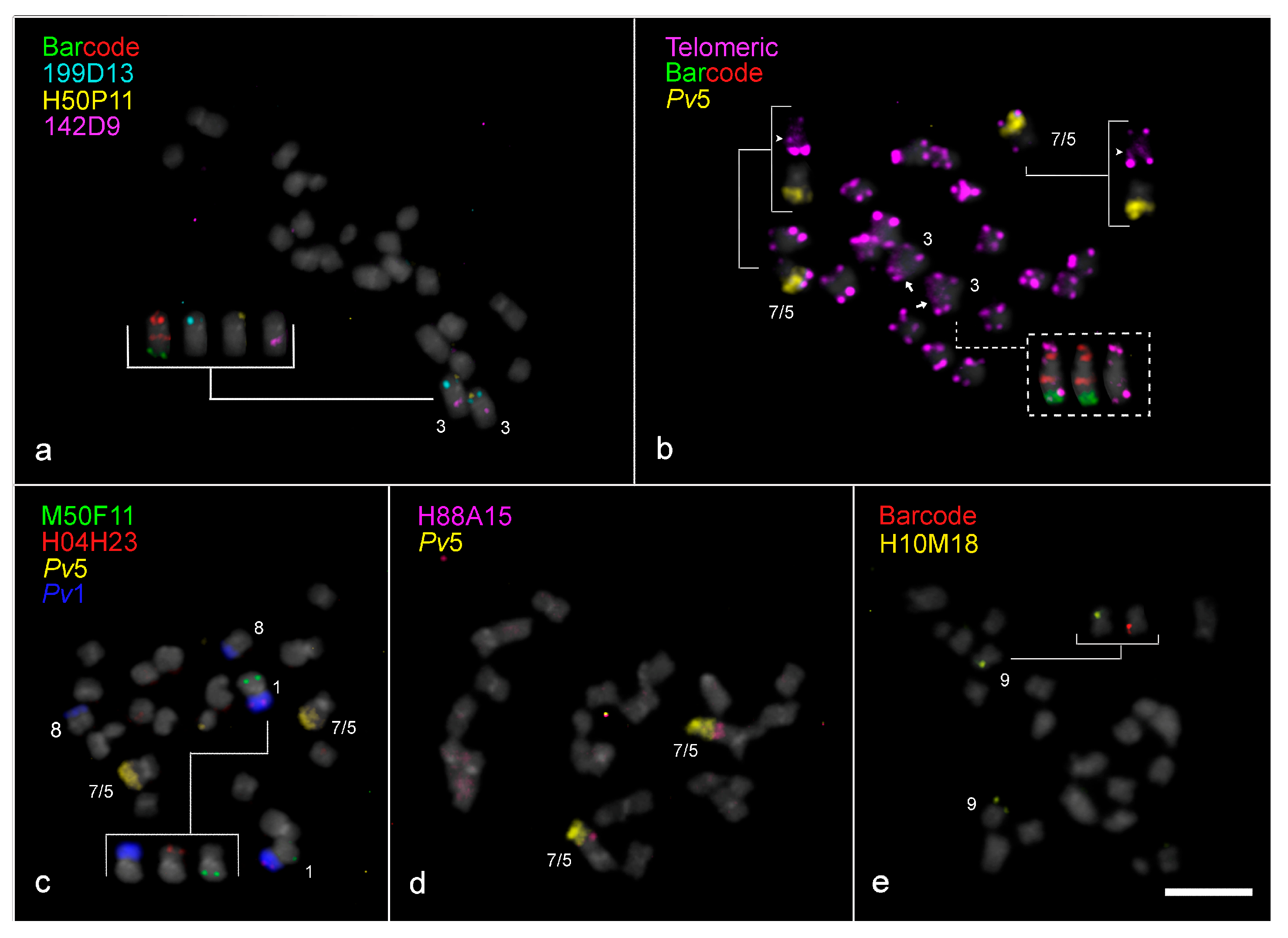 Plants 14 01872 g002