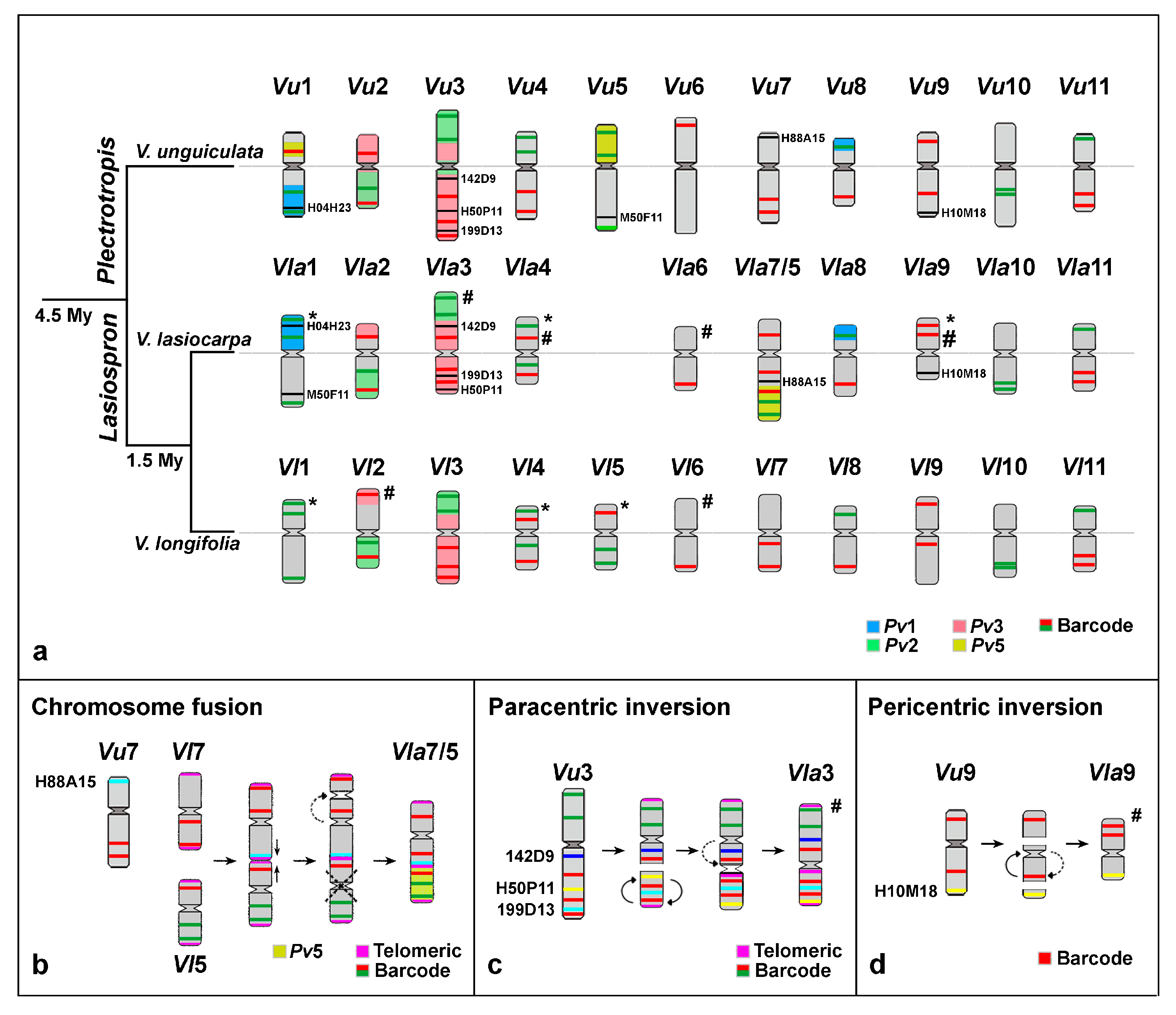 Plants 14 01872 g003