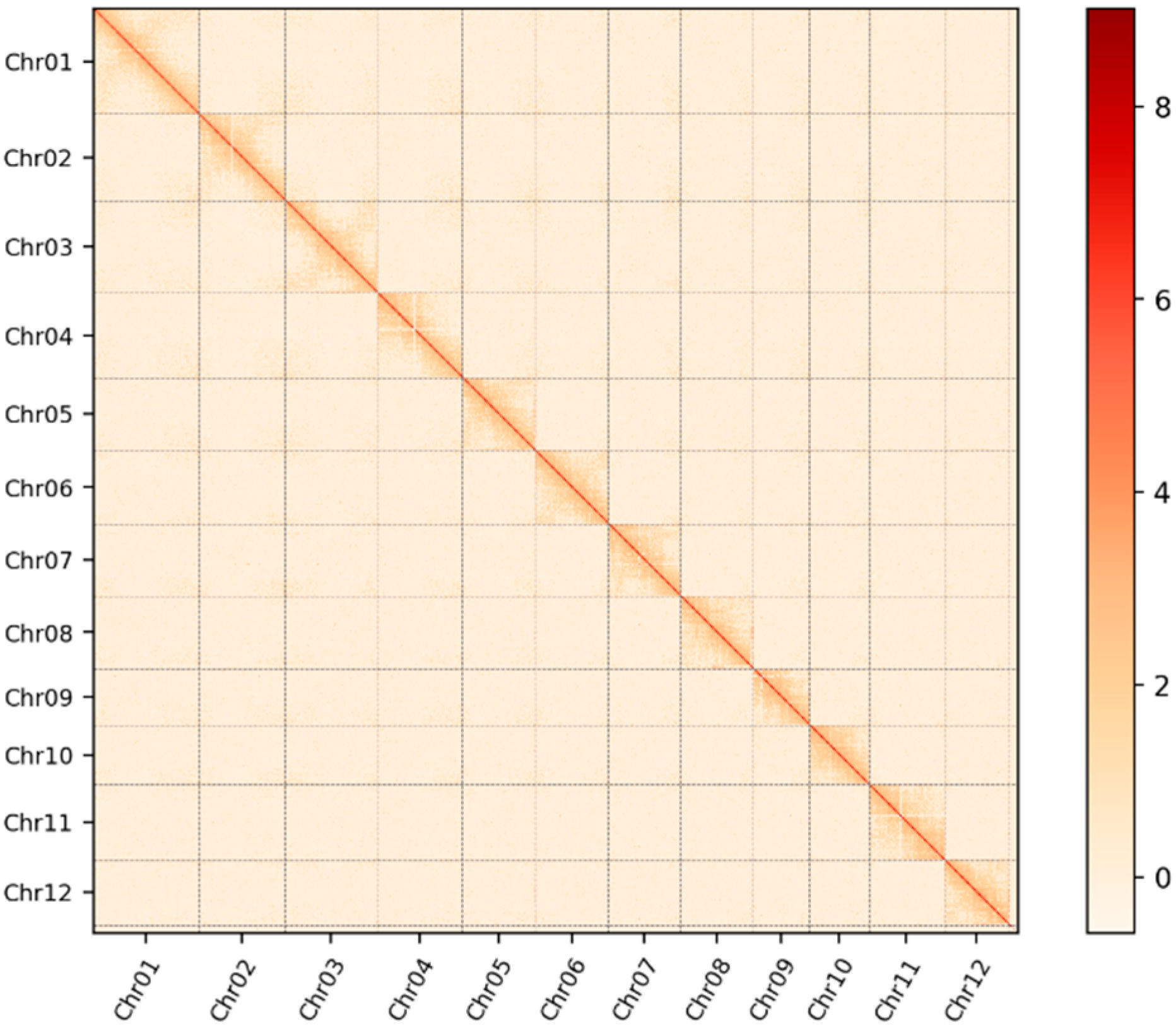 Plants 14 01873 g001