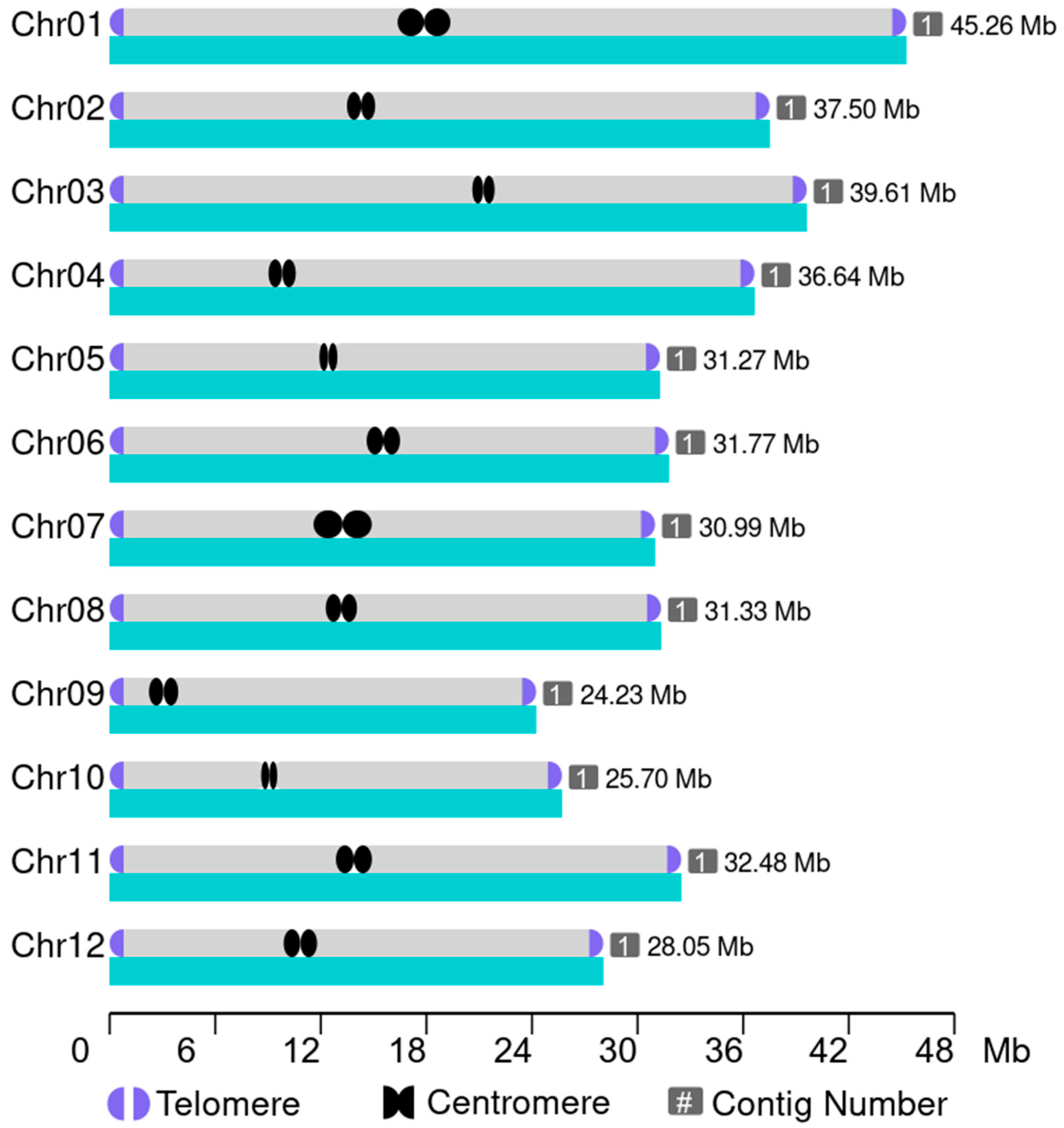 Plants 14 01873 g002