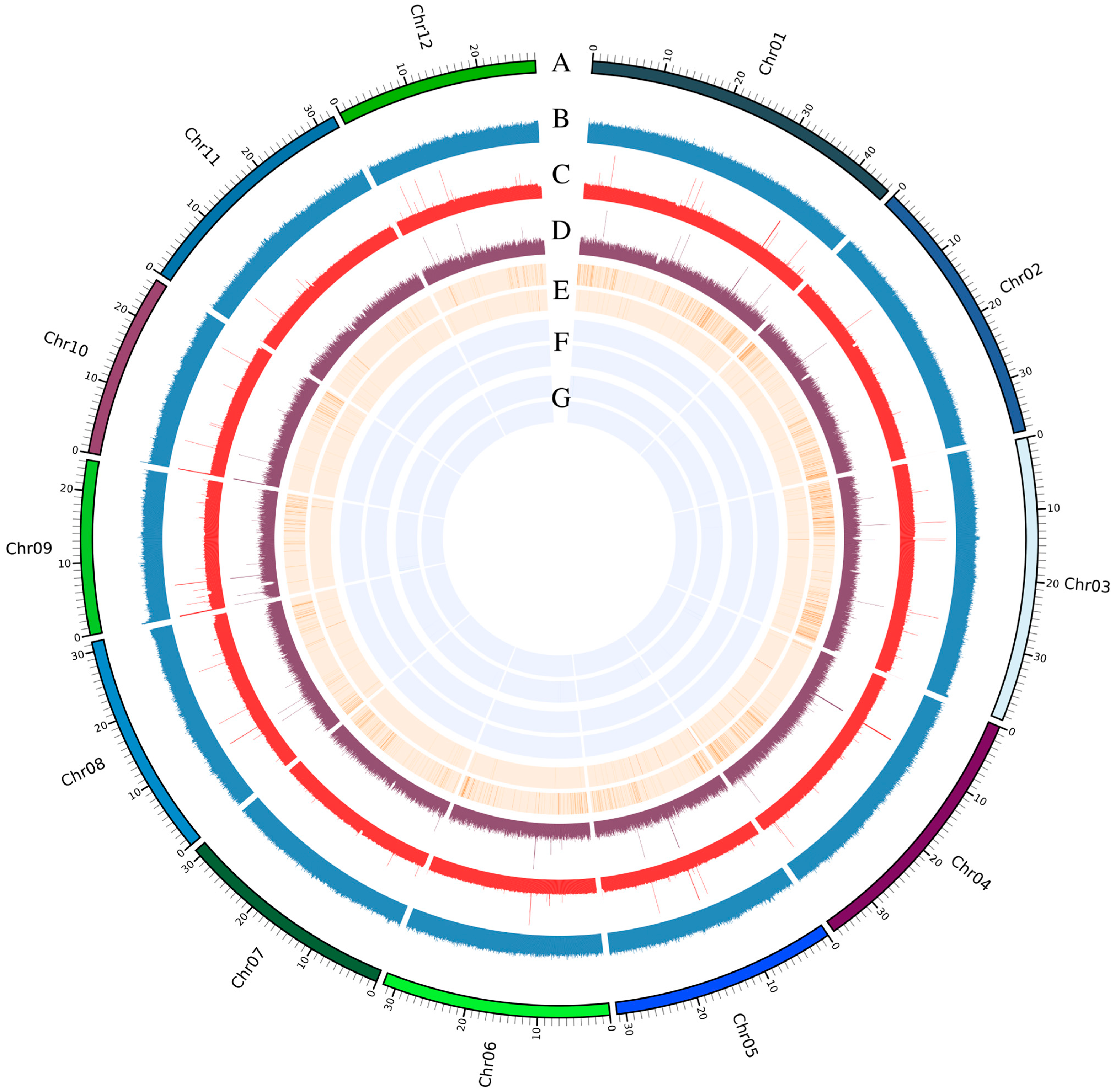 Plants 14 01873 g003