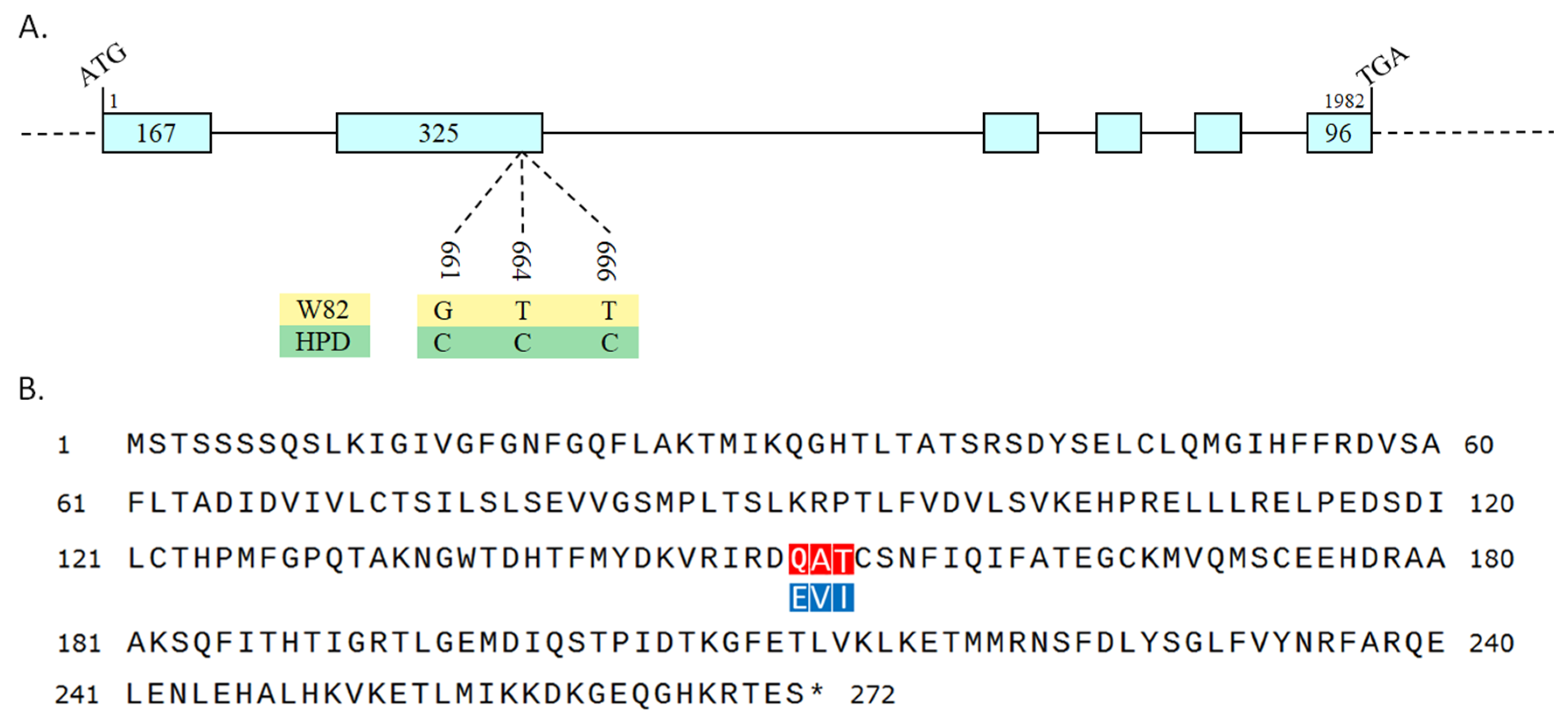 Plants 14 01877 g006