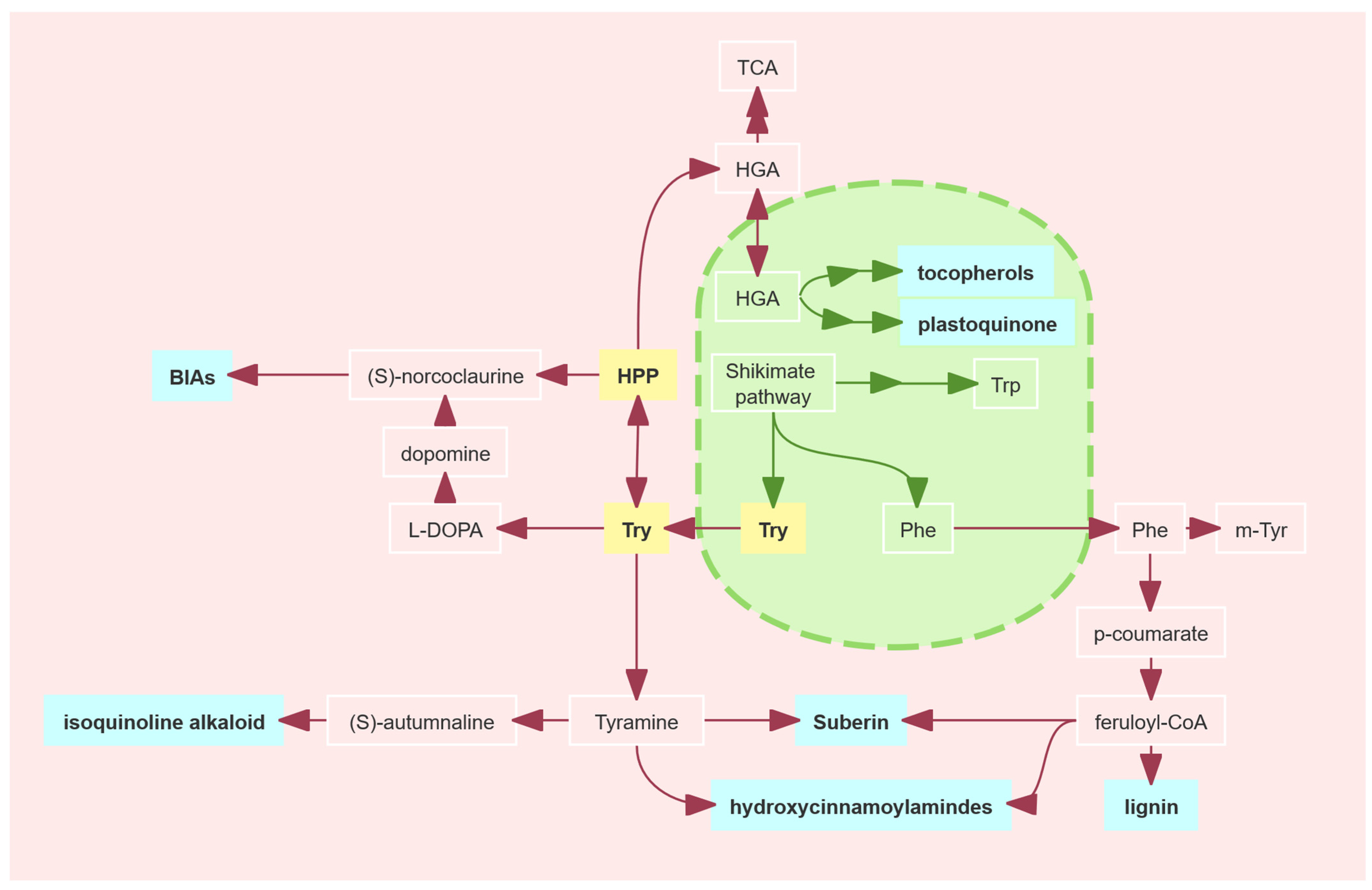 Plants 14 01877 g009