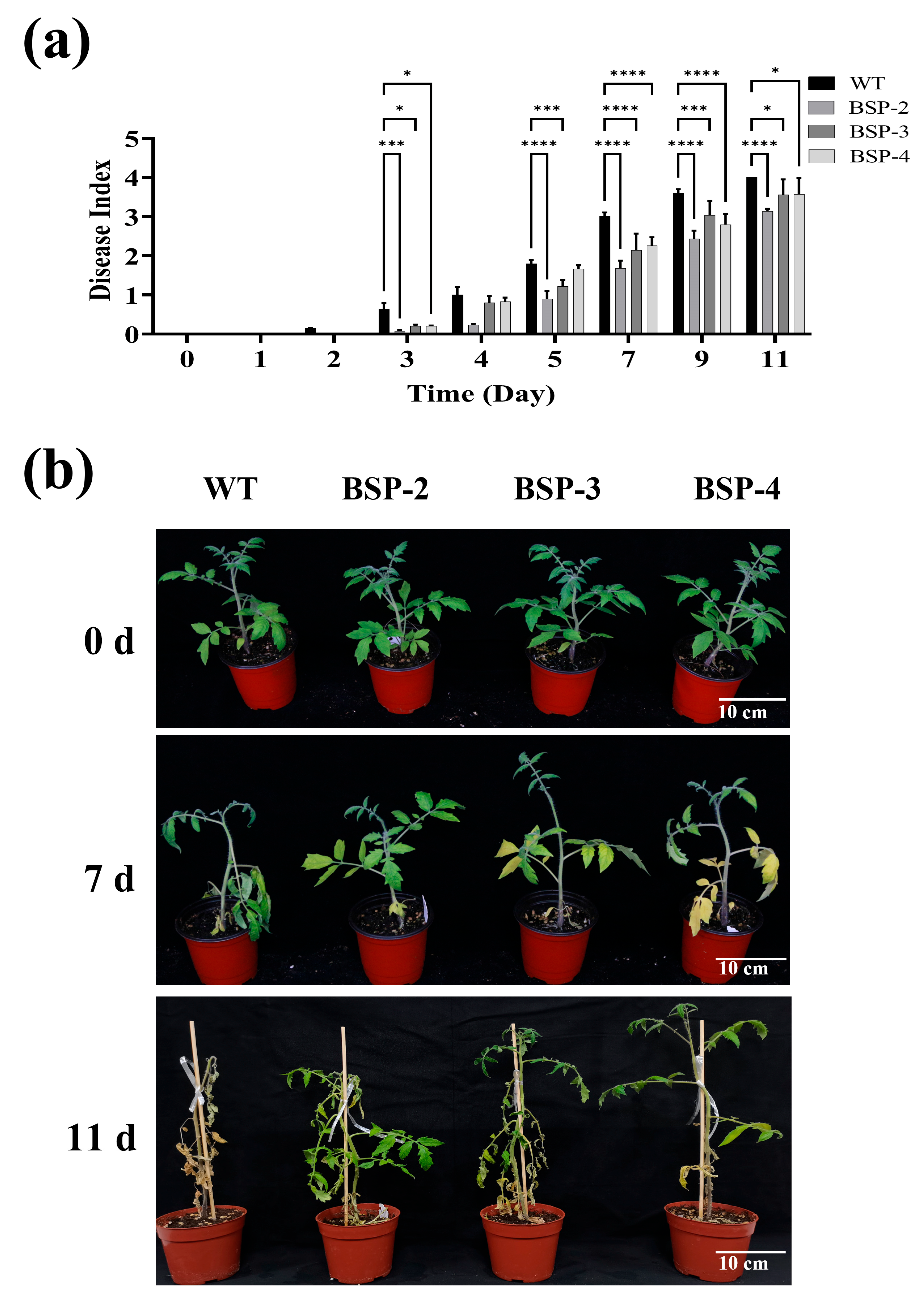Plants 14 01897 g003