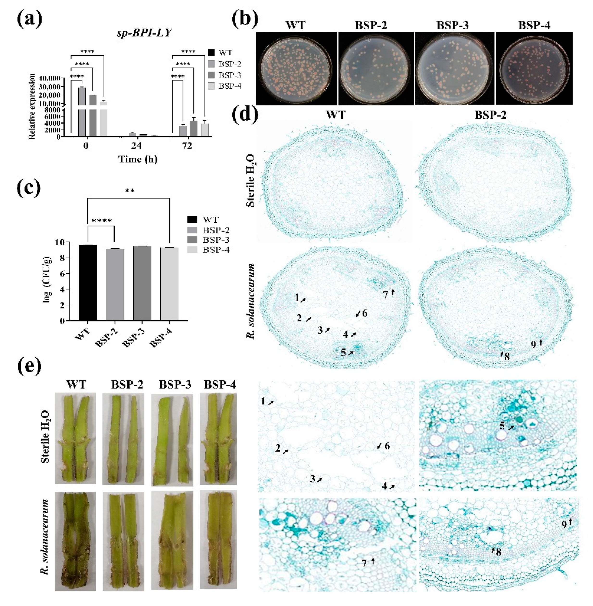 Plants 14 01897 g004