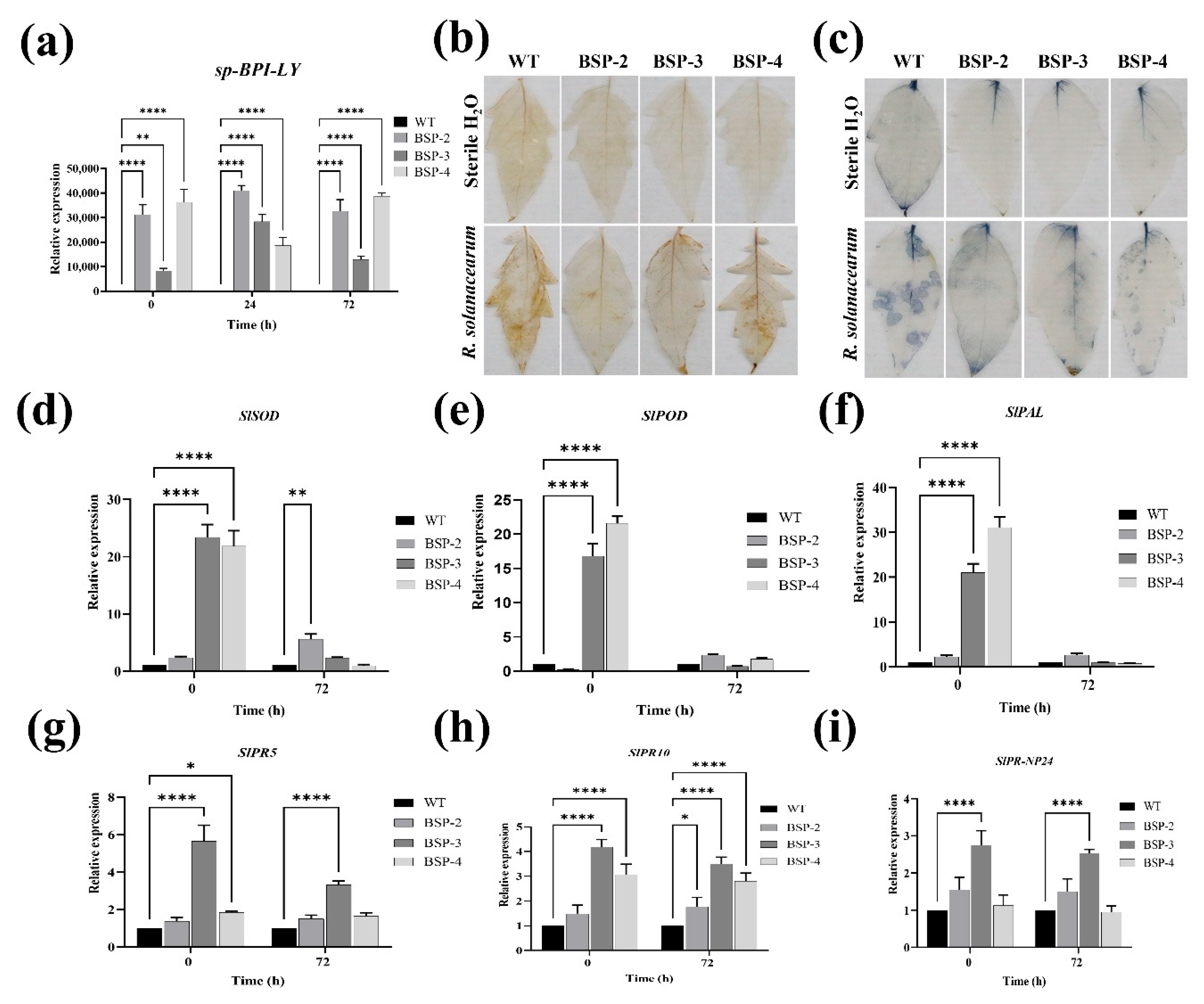 Plants 14 01897 g005