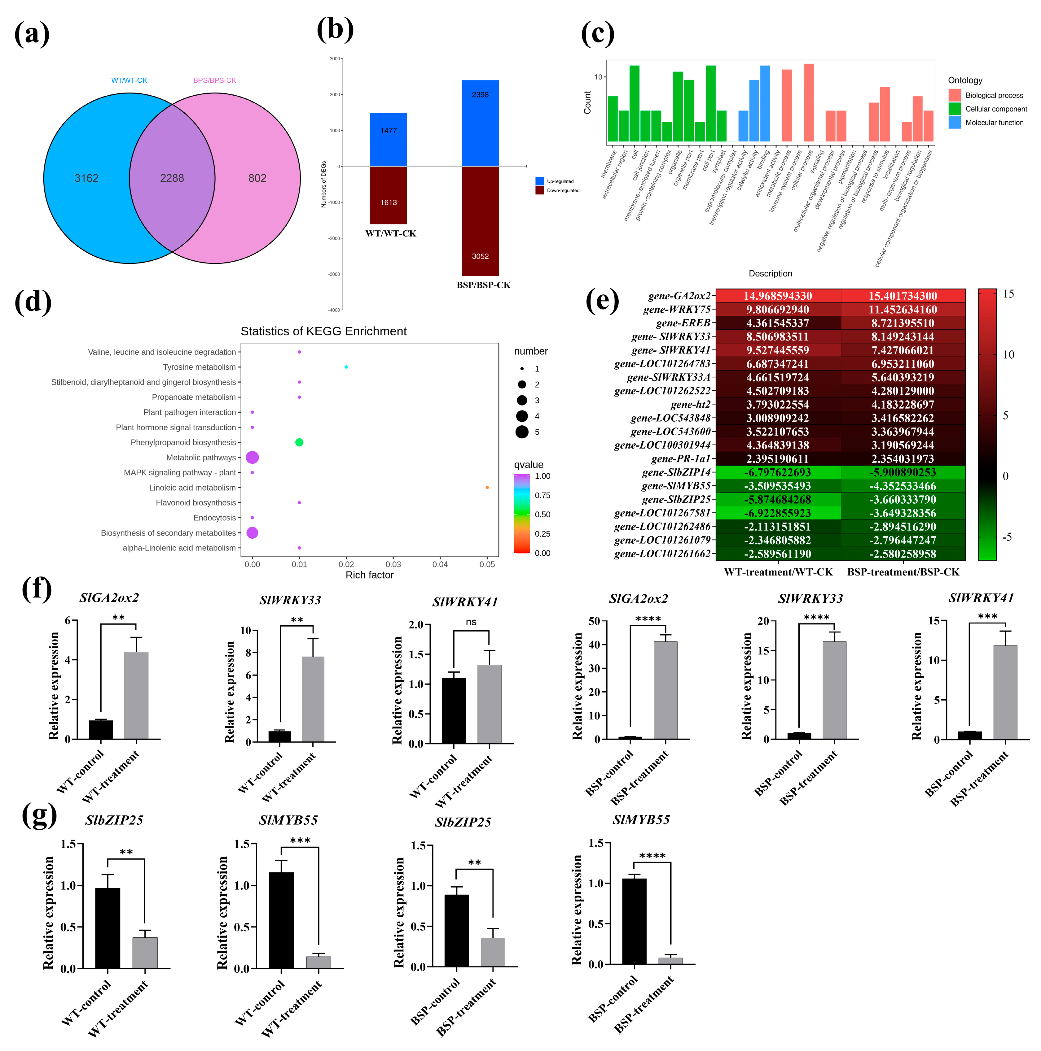 Plants 14 01897 g006