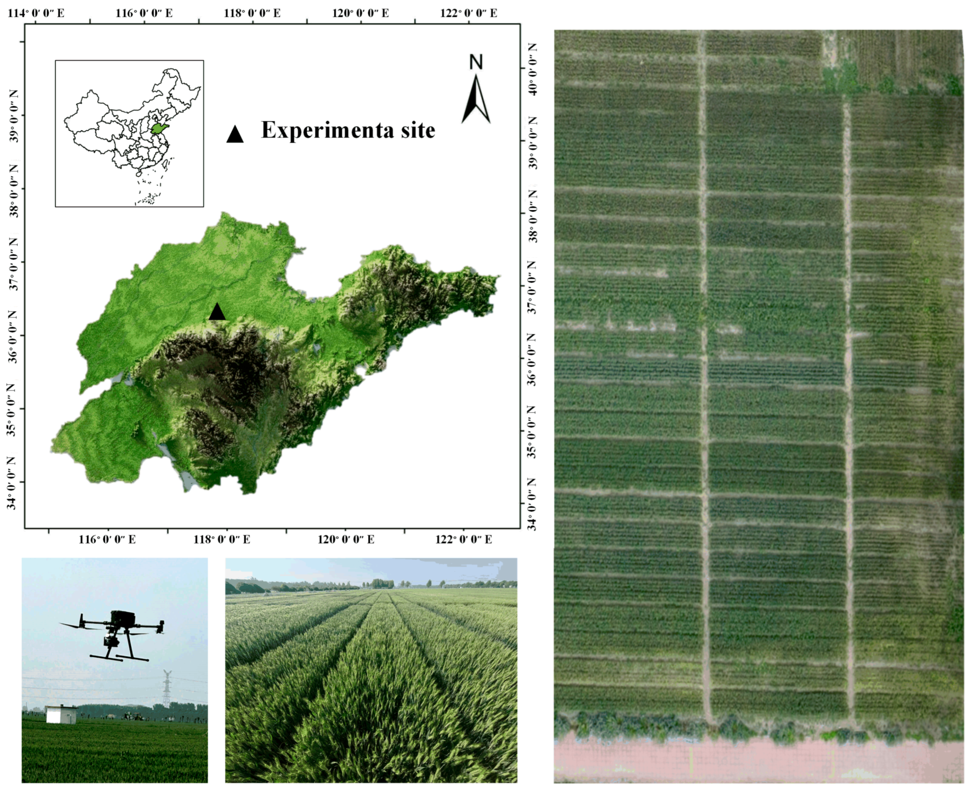 Plants 14 01908 g009