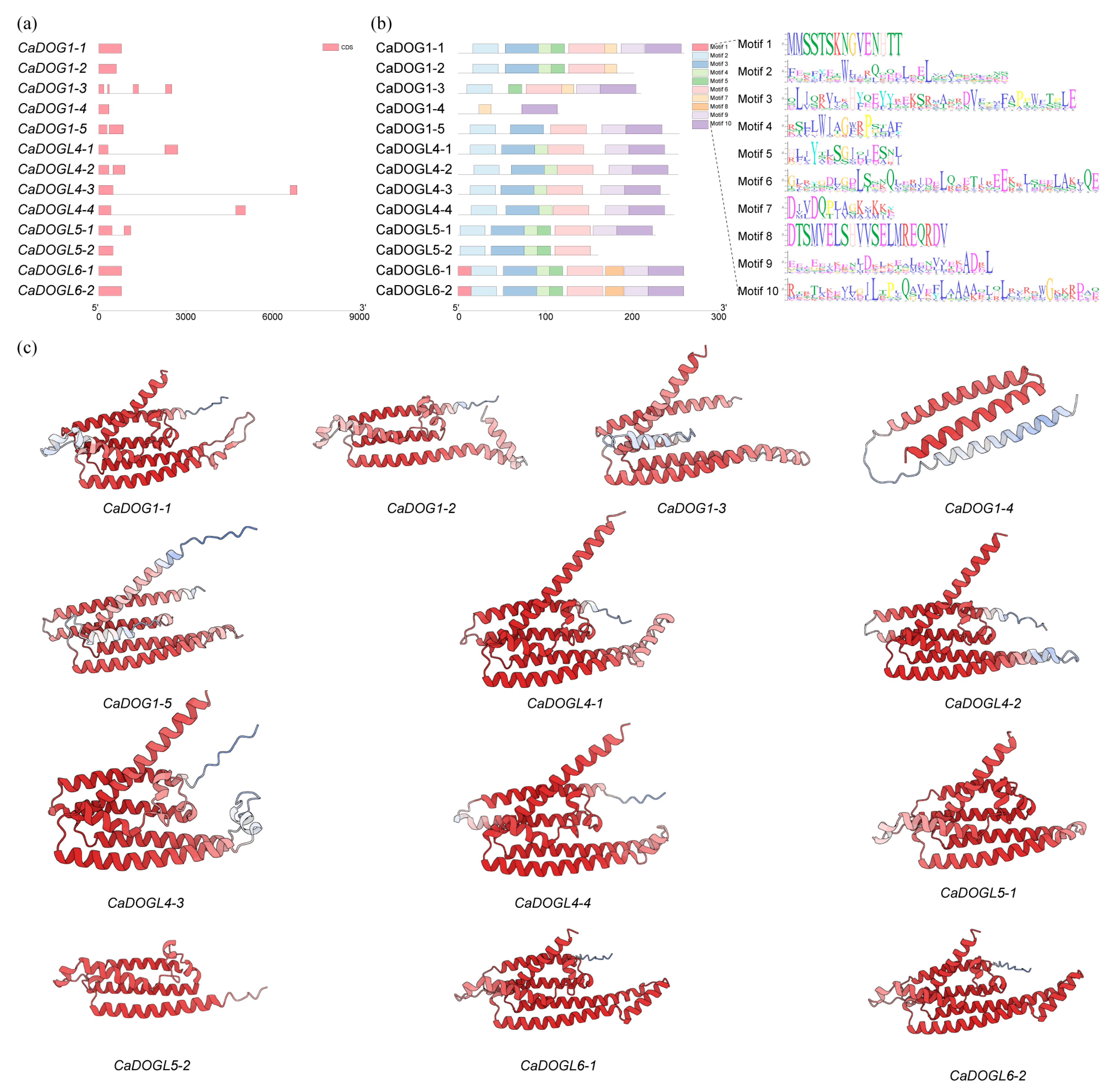 Plants 14 01913 g003