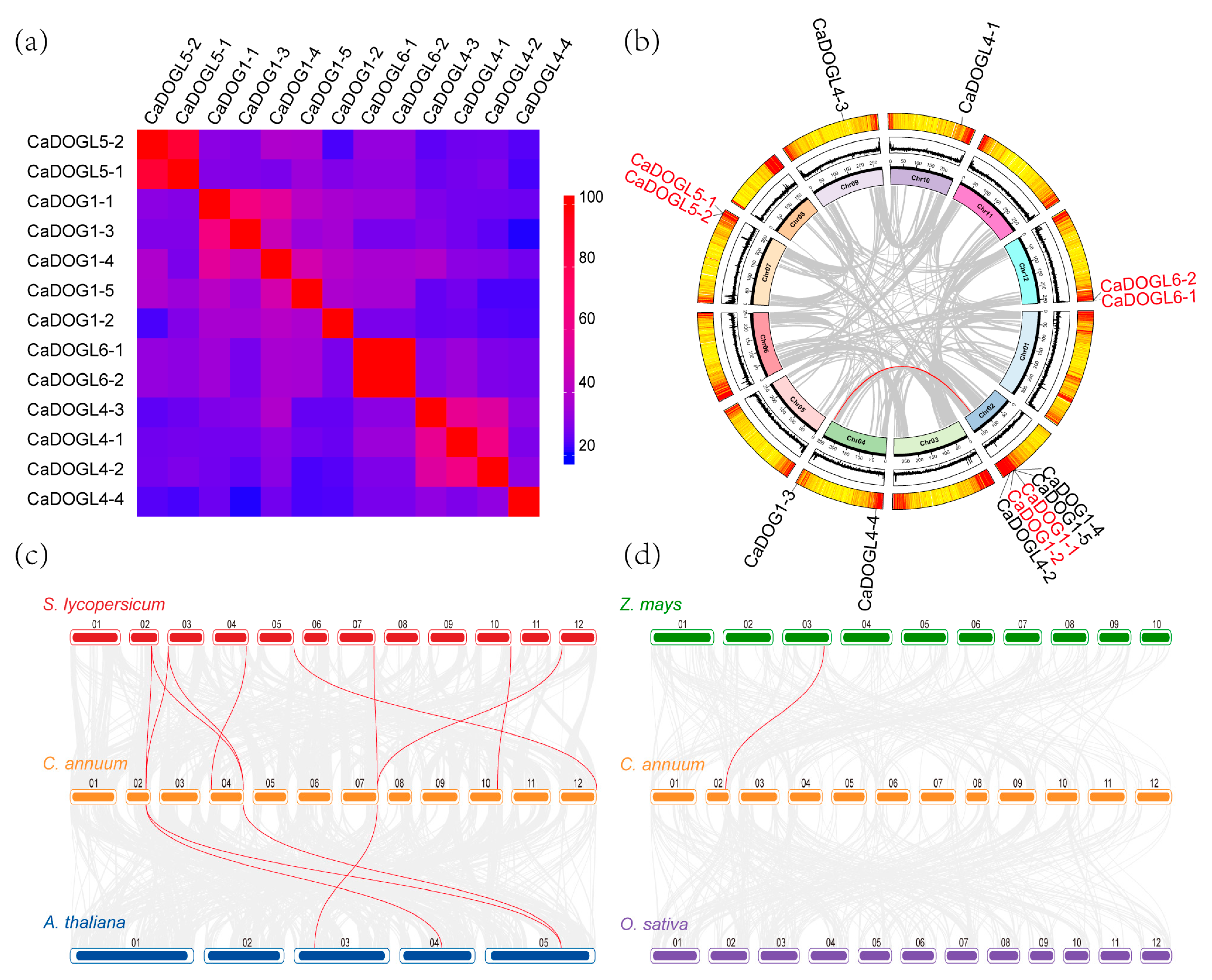 Plants 14 01913 g004