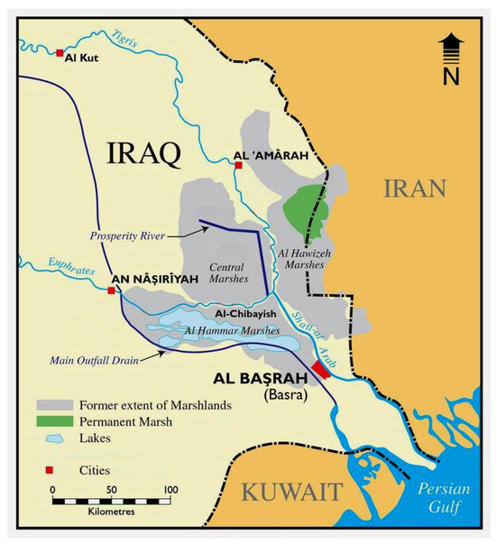 Plants 14 01914 g001