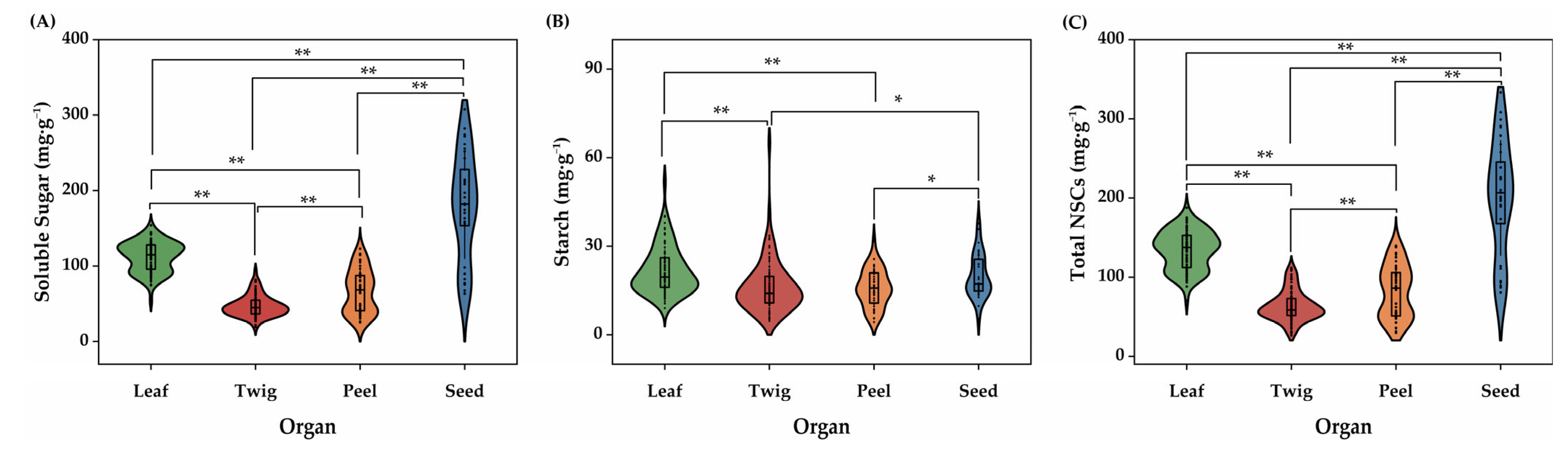 Plants 14 01920 g001