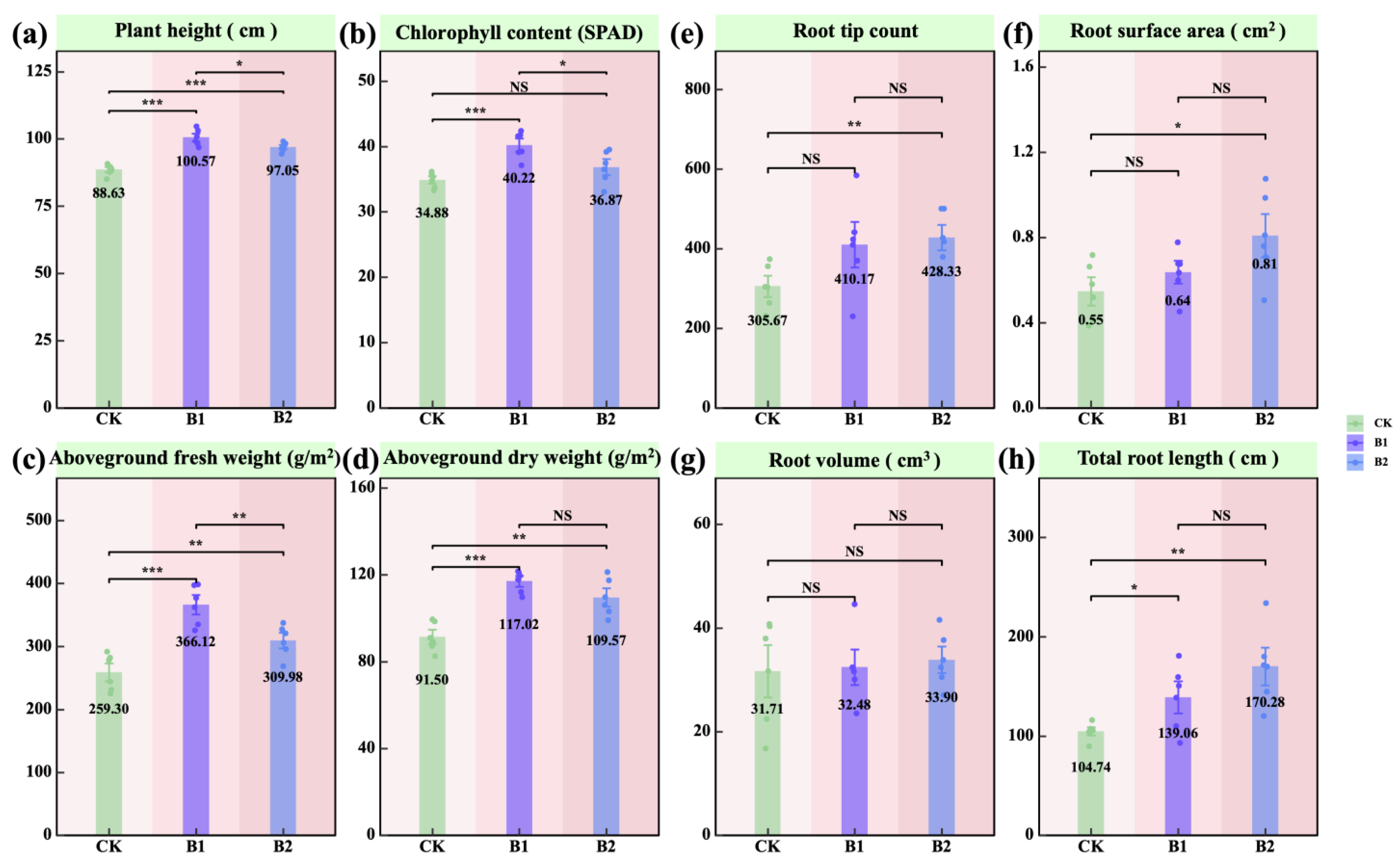 Plants 14 01926 g001