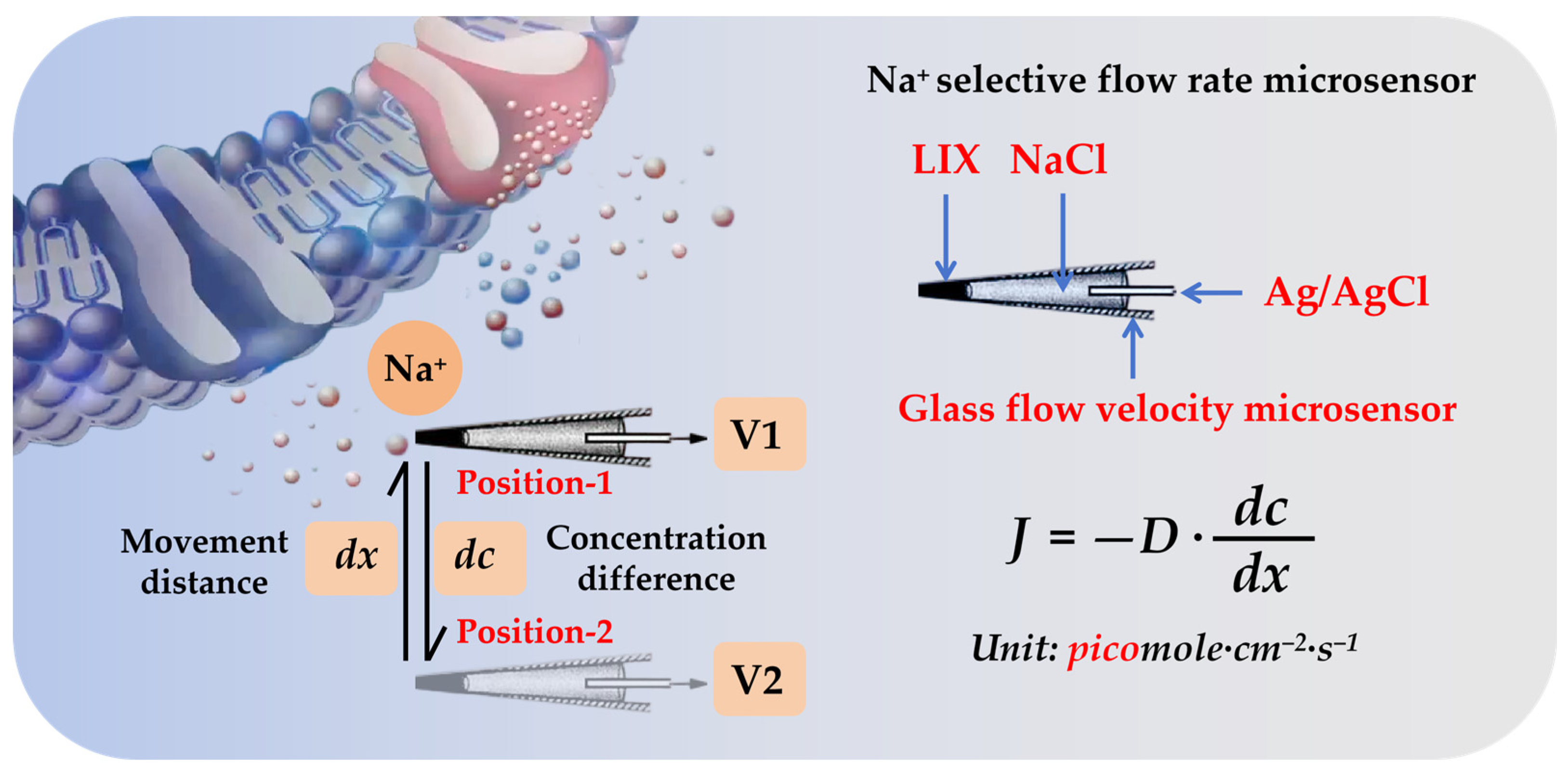 Plants 14 01932 g001