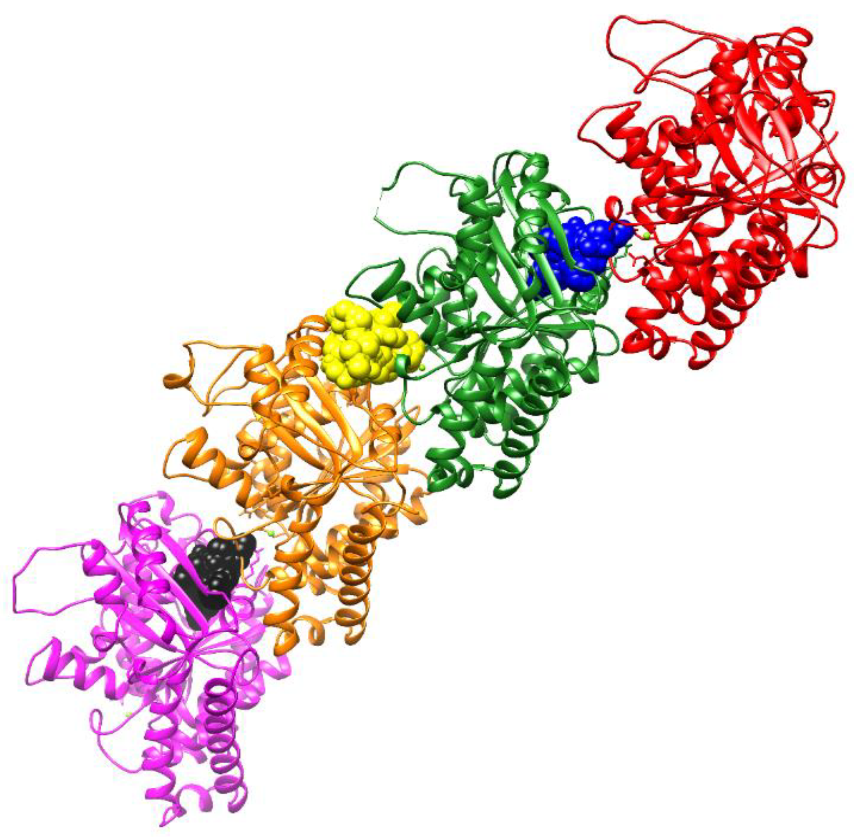 Plants 14 01933 g007