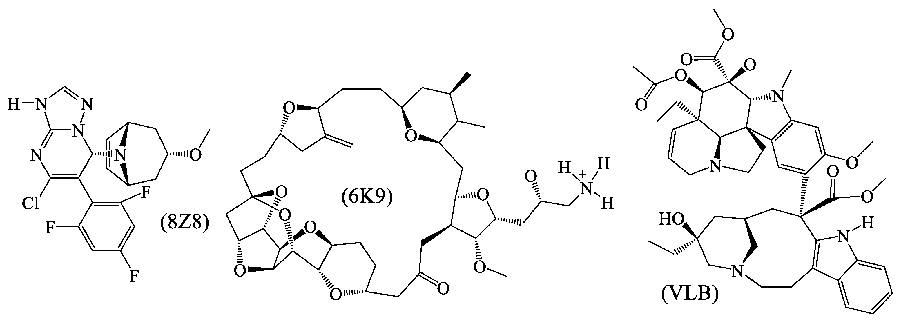 Plants 14 01933 g009