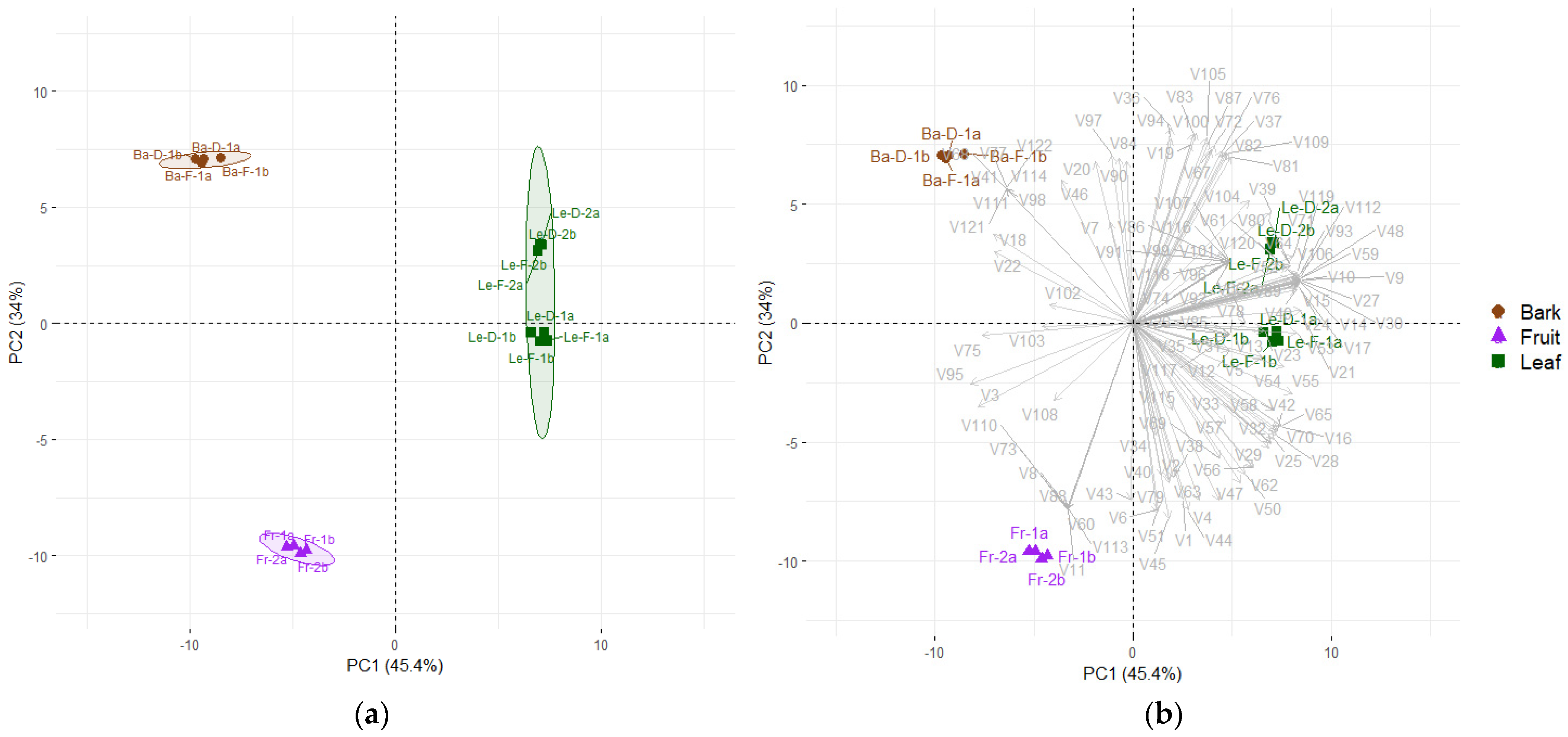 Plants 14 01939 g001