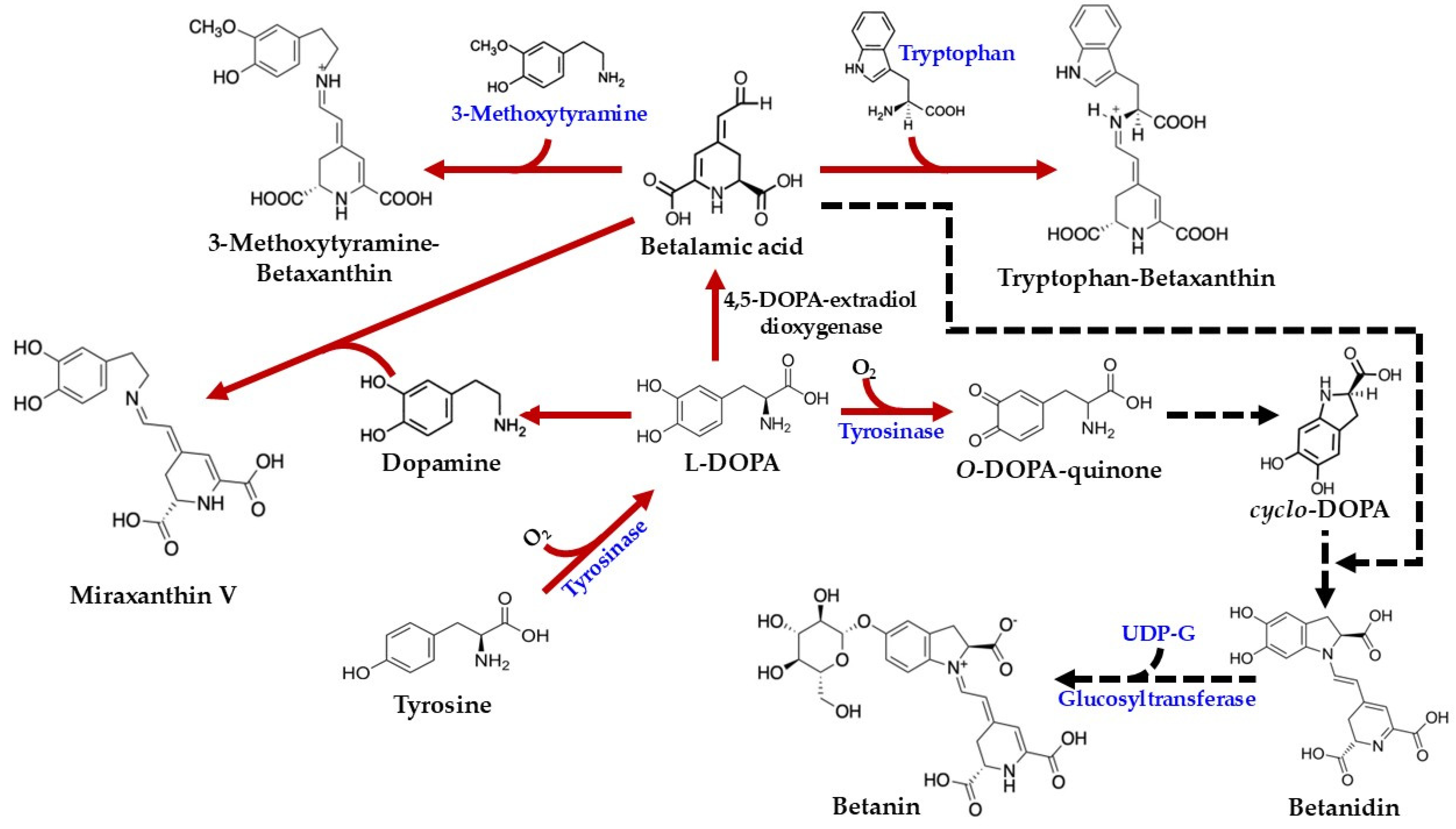 Plants 14 01940 g004
