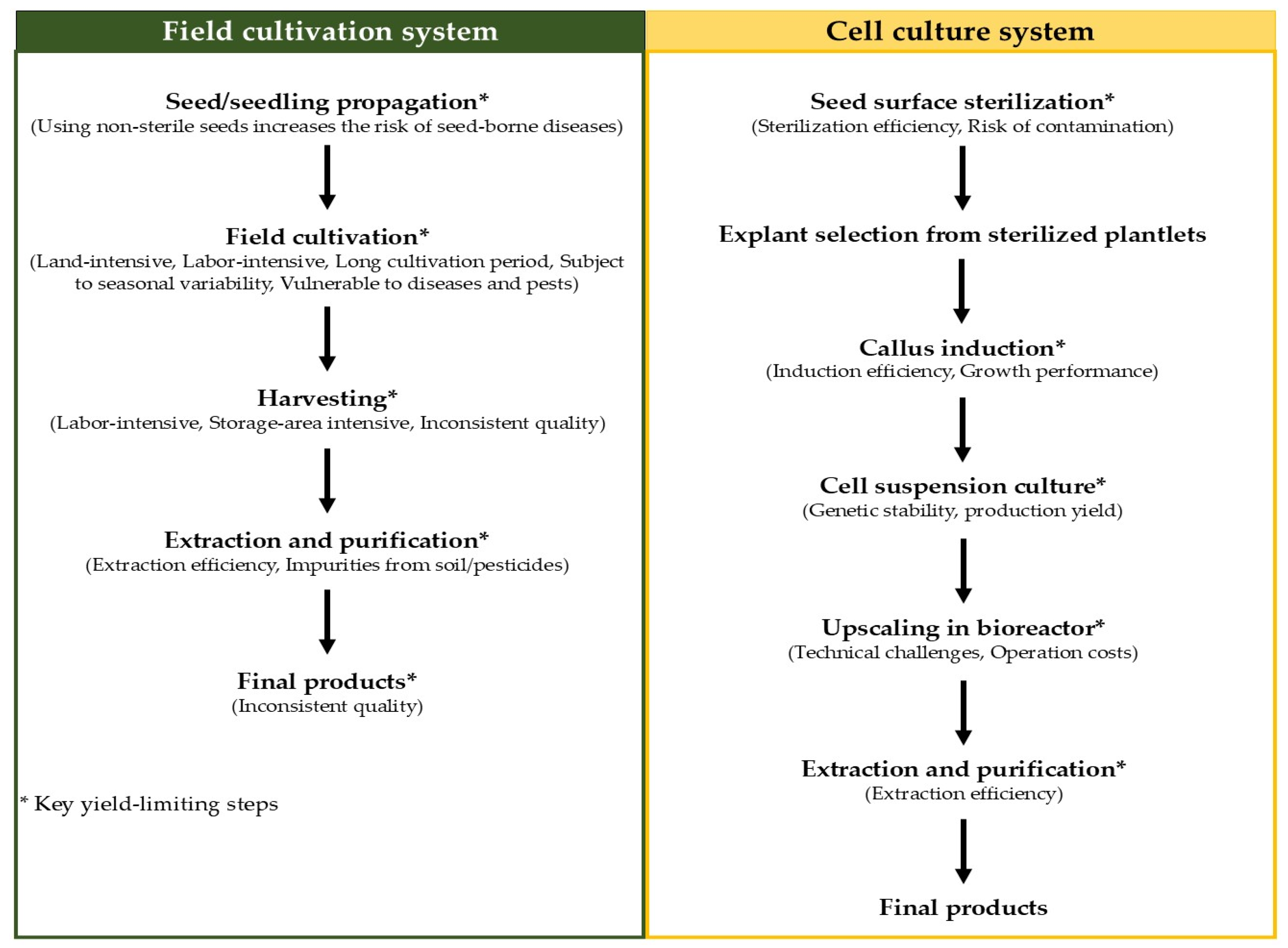 Plants 14 01940 g005