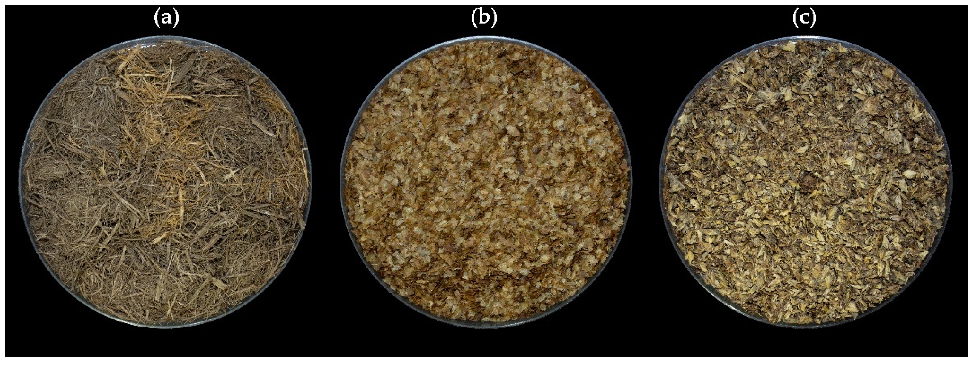 Plants 14 01945 g001